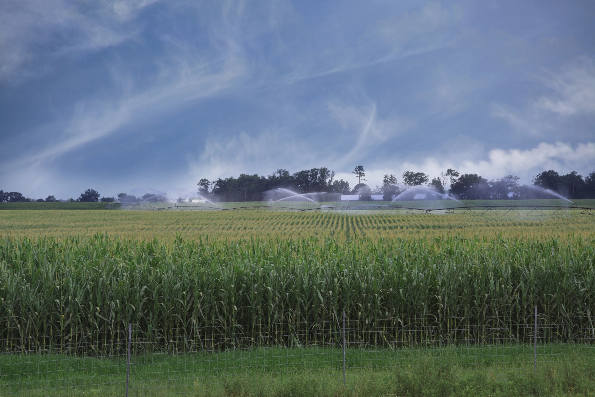 Canon EF 28-200mm F3.5-5.6 USM sample photo. Corn field being watered photography