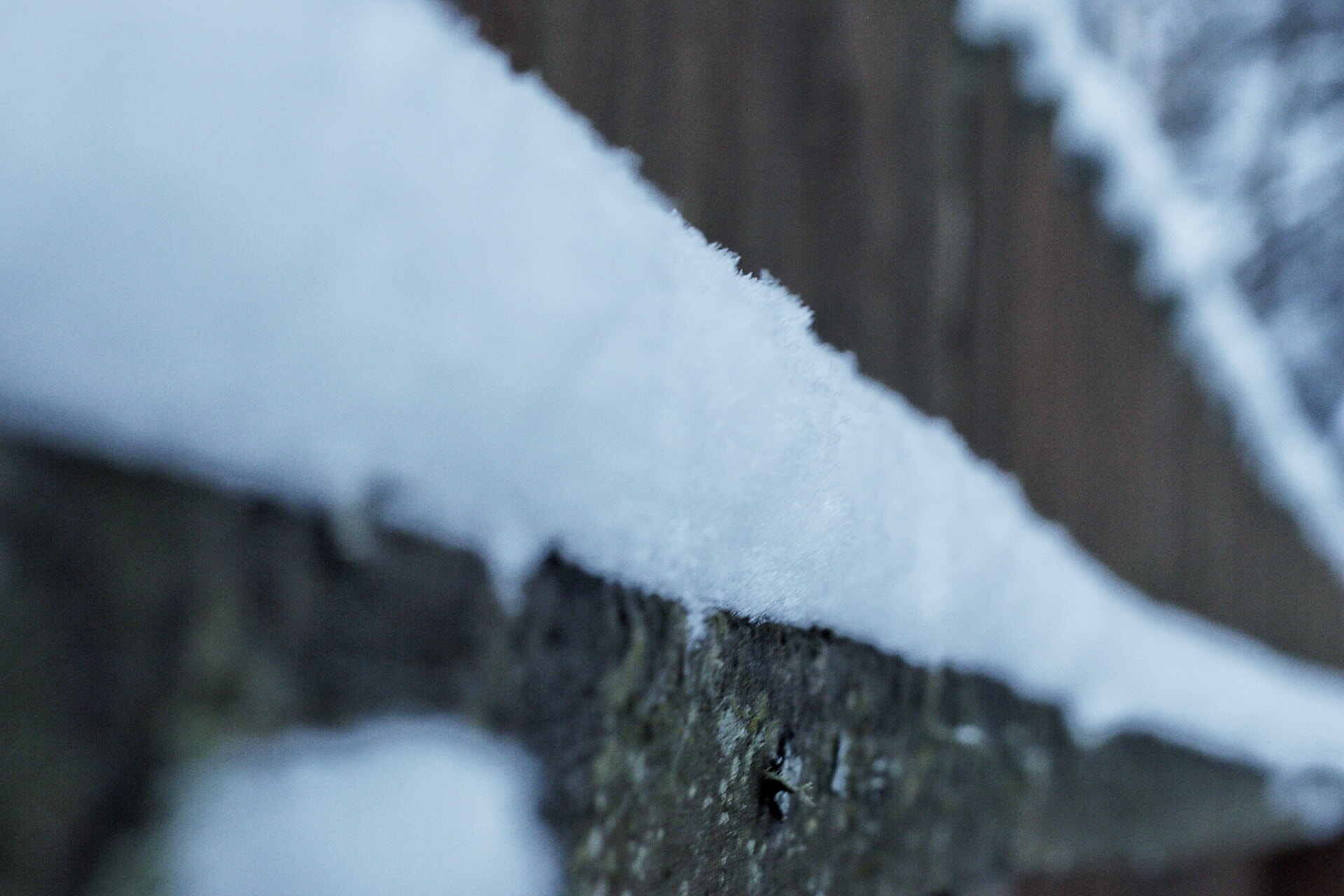 Canon EF 50mm F1.8 STM sample photo. Mossy snow photography