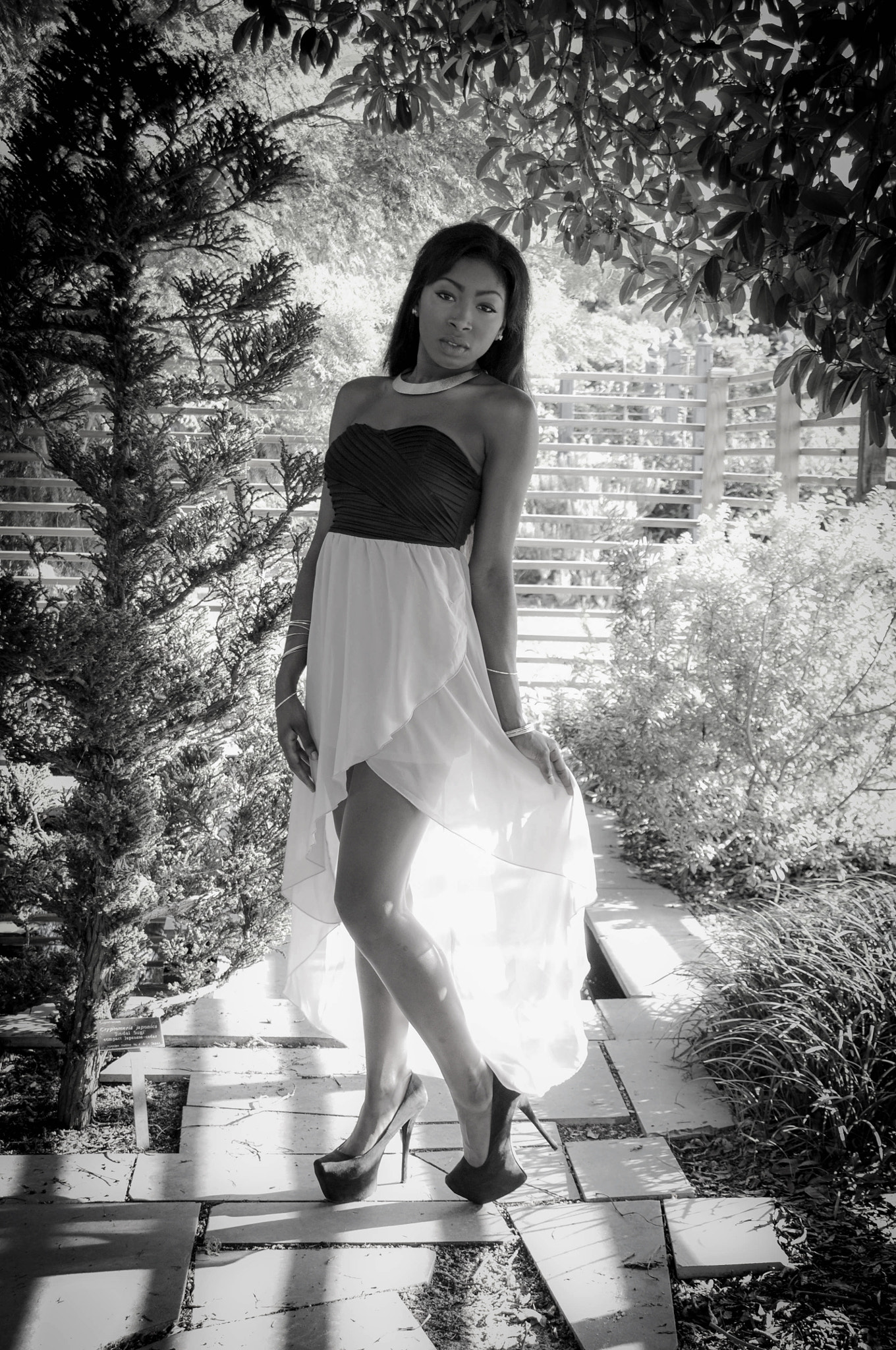 AF Zoom-Nikkor 24-120mm f/3.5-5.6D IF sample photo. Bw kia photography