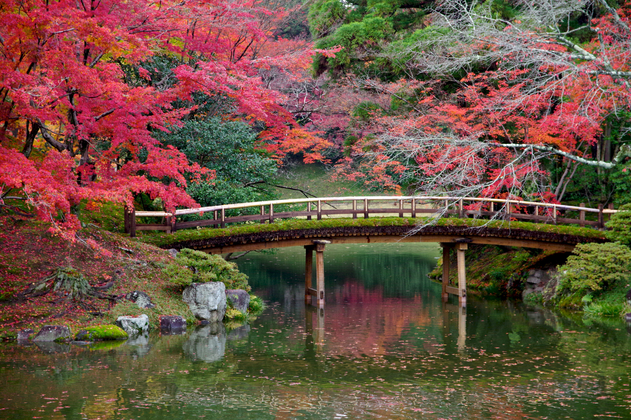 Sigma 17-70mm F2.8-4 DC Macro HSM Contemporary sample photo. Bridge in autumn photography