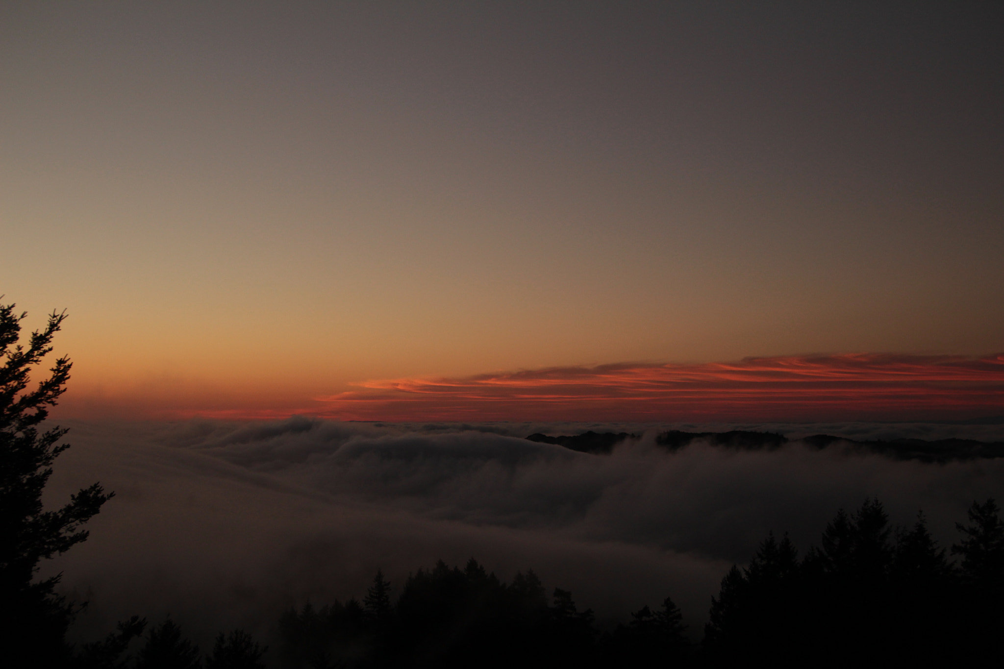 Canon EOS 100D (EOS Rebel SL1 / EOS Kiss X7) sample photo. Tamalpais fog photography