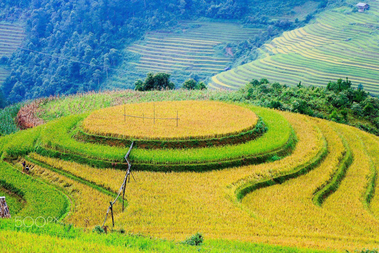 Canon EOS 650D (EOS Rebel T4i / EOS Kiss X6i) sample photo. Terraced fields photography