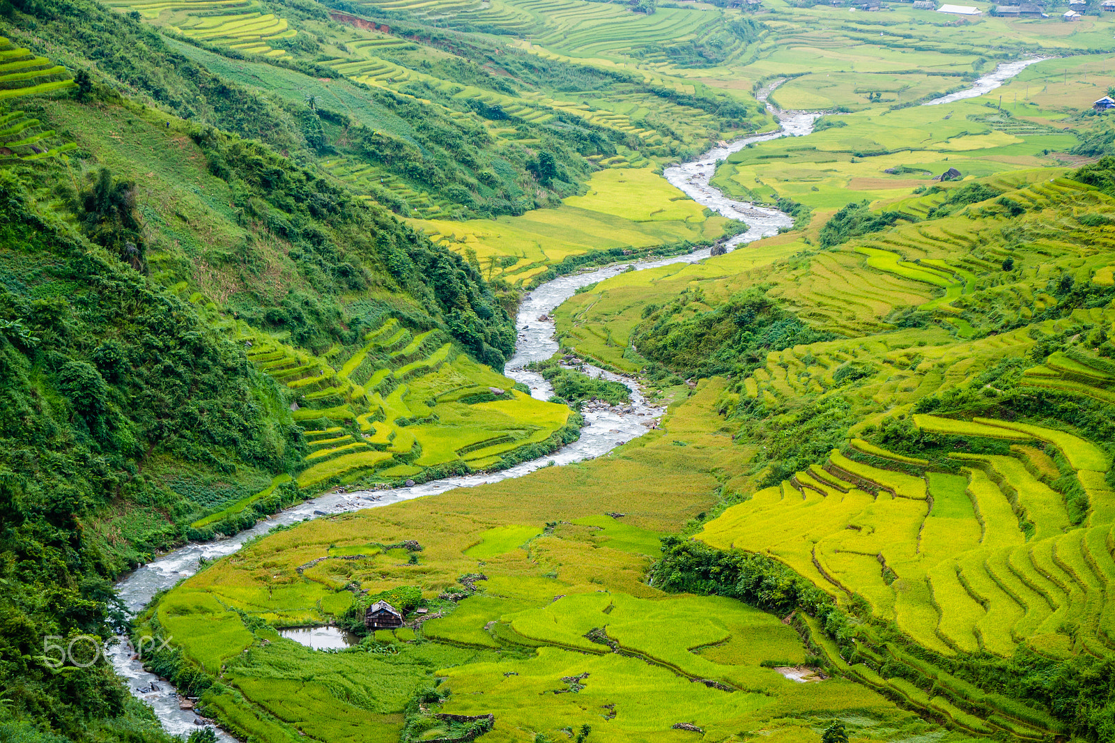 Canon EOS 650D (EOS Rebel T4i / EOS Kiss X6i) sample photo. Terraced fields photography