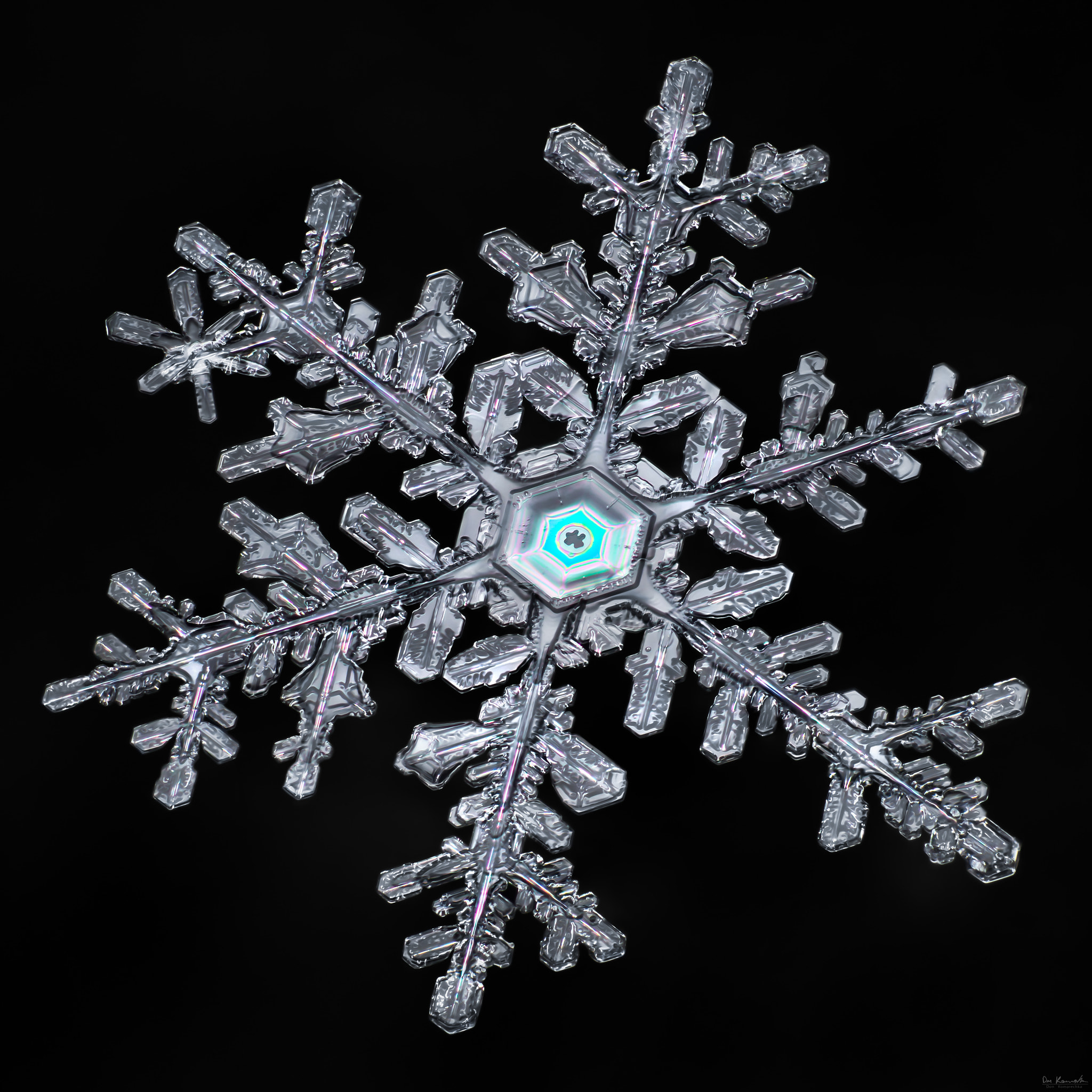 Canon MP-E 65mm F2.5 1-5x Macro Photo sample photo. Snowflake-a-day #50 photography