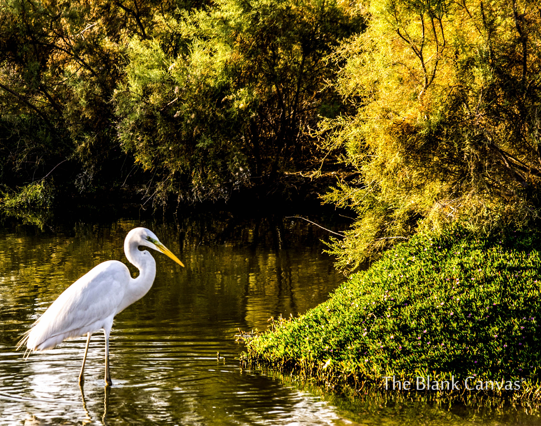 Pentax K-5 sample photo. Nature`s paradise photography