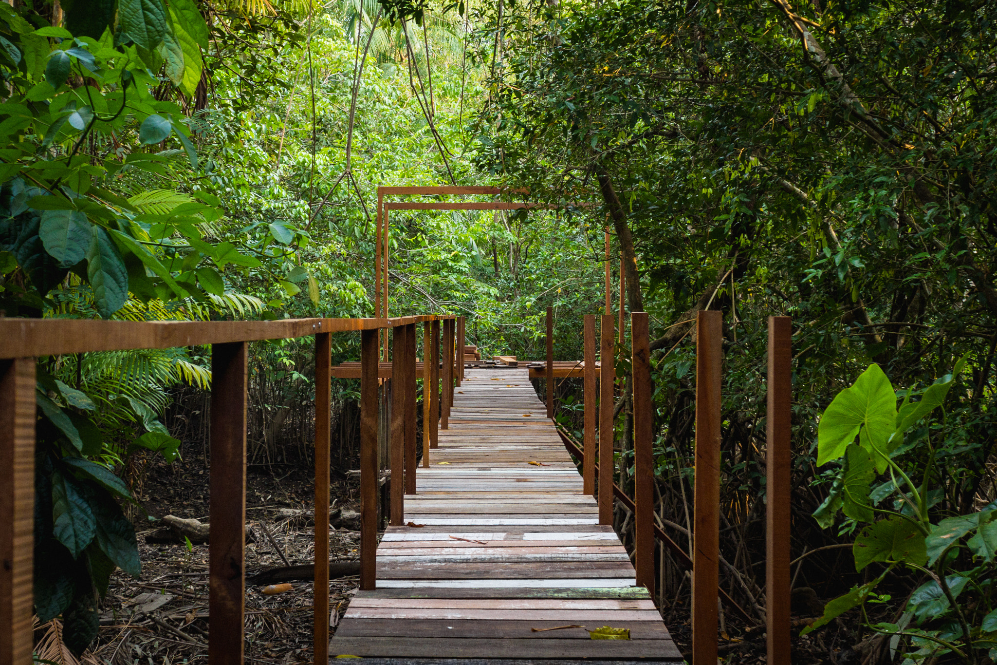 Canon EF 28-90mm f/4-5.6 USM sample photo. Cruzar o verde photography