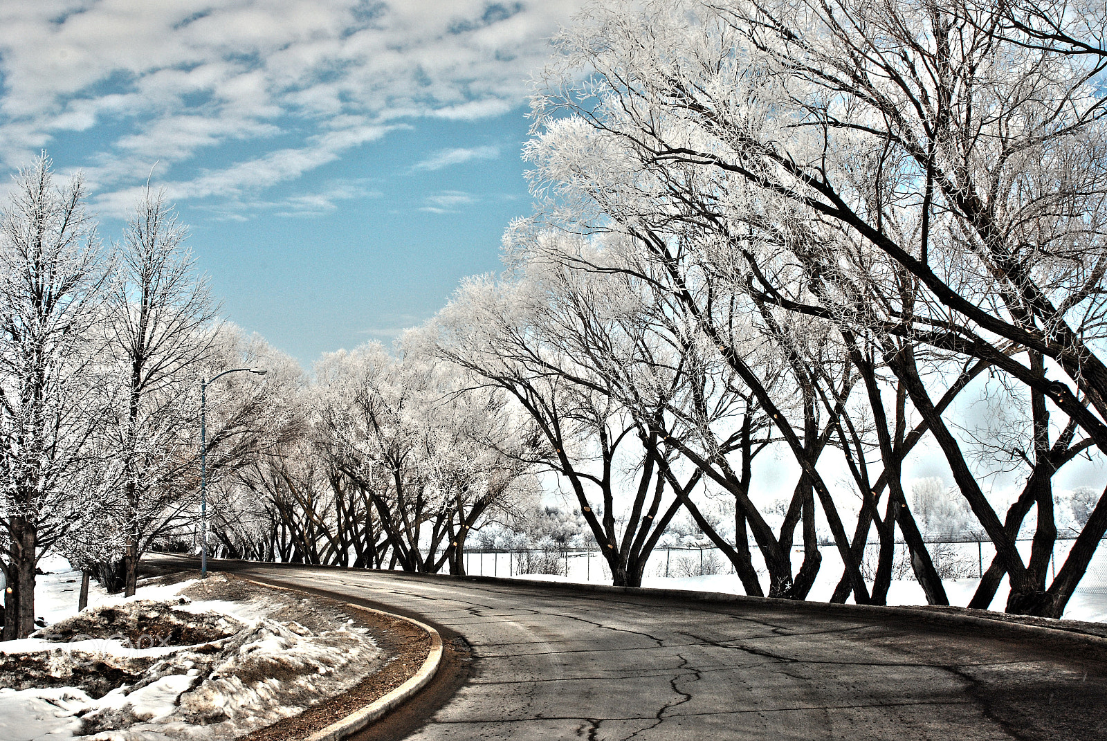 AF Zoom-Nikkor 28-105mm f/3.5-4.5D IF sample photo