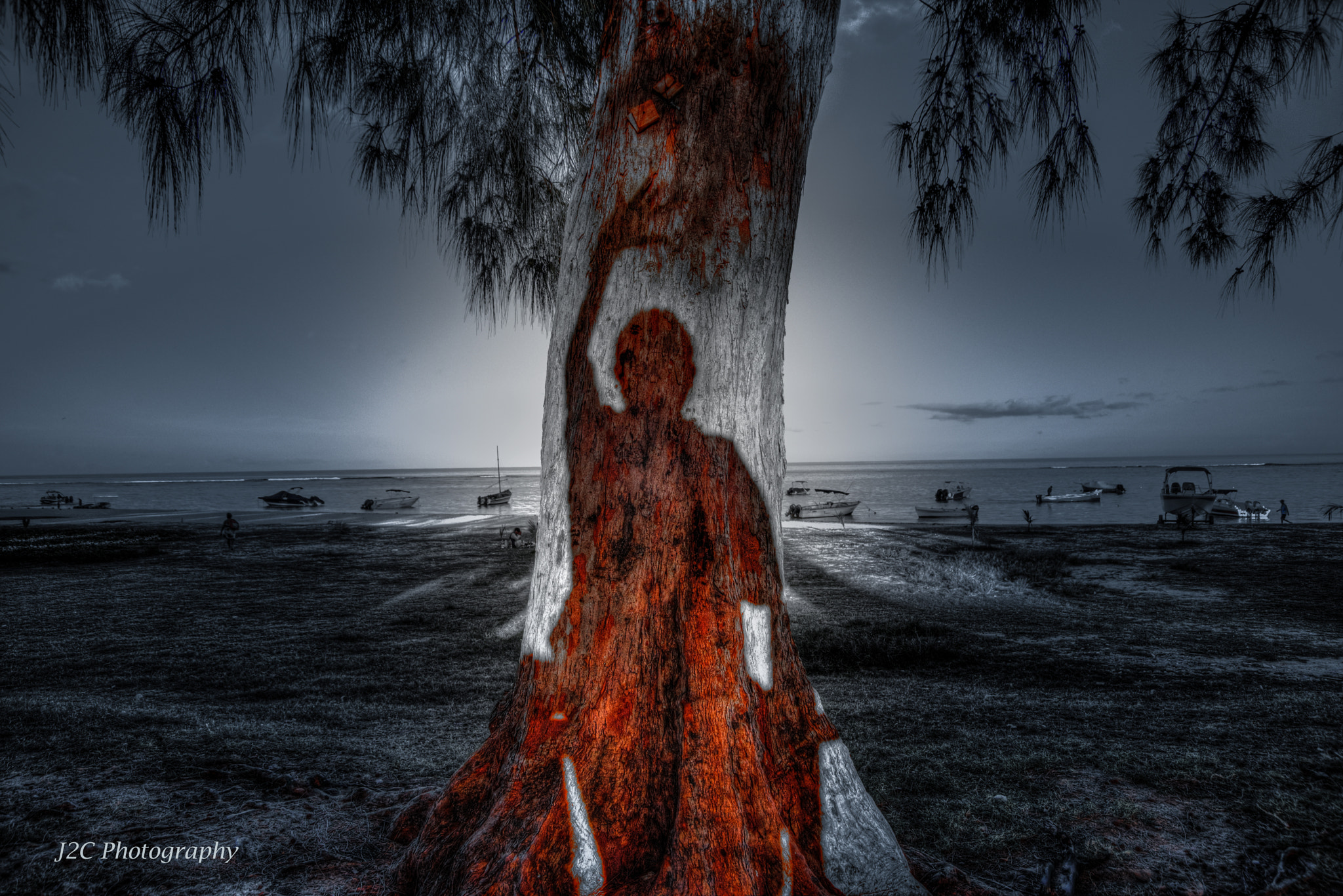 Nikon D600 sample photo. The spirit of the tree photography