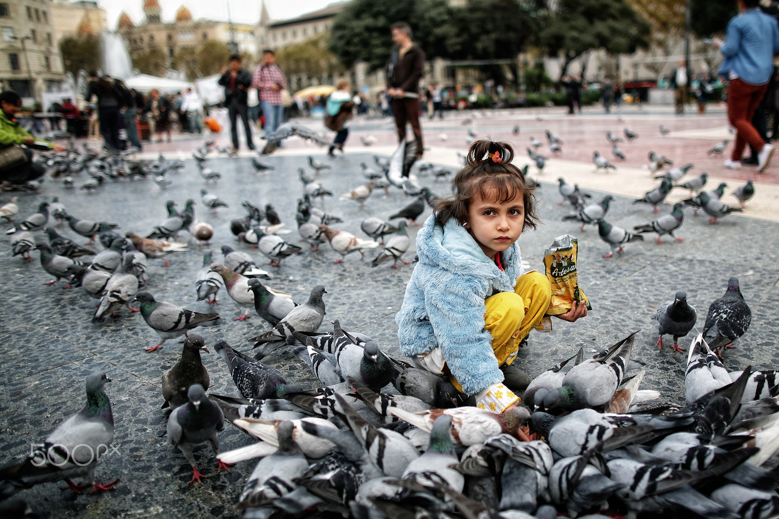 Canon EOS 5D + Canon EF 24mm F1.4L II USM sample photo. 36 - little girl feeding the pigeons photography