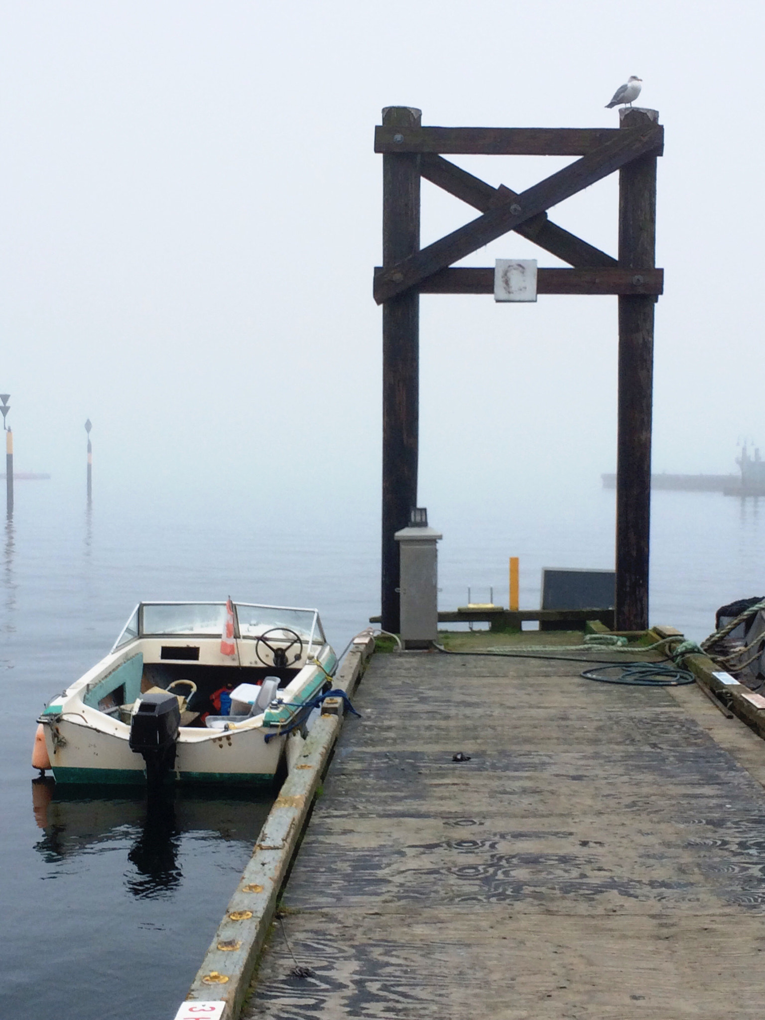Apple iPhone6,1 sample photo. Old speedboat and seagull wait for the fog to lift. vancouver island, bc, canada. photography