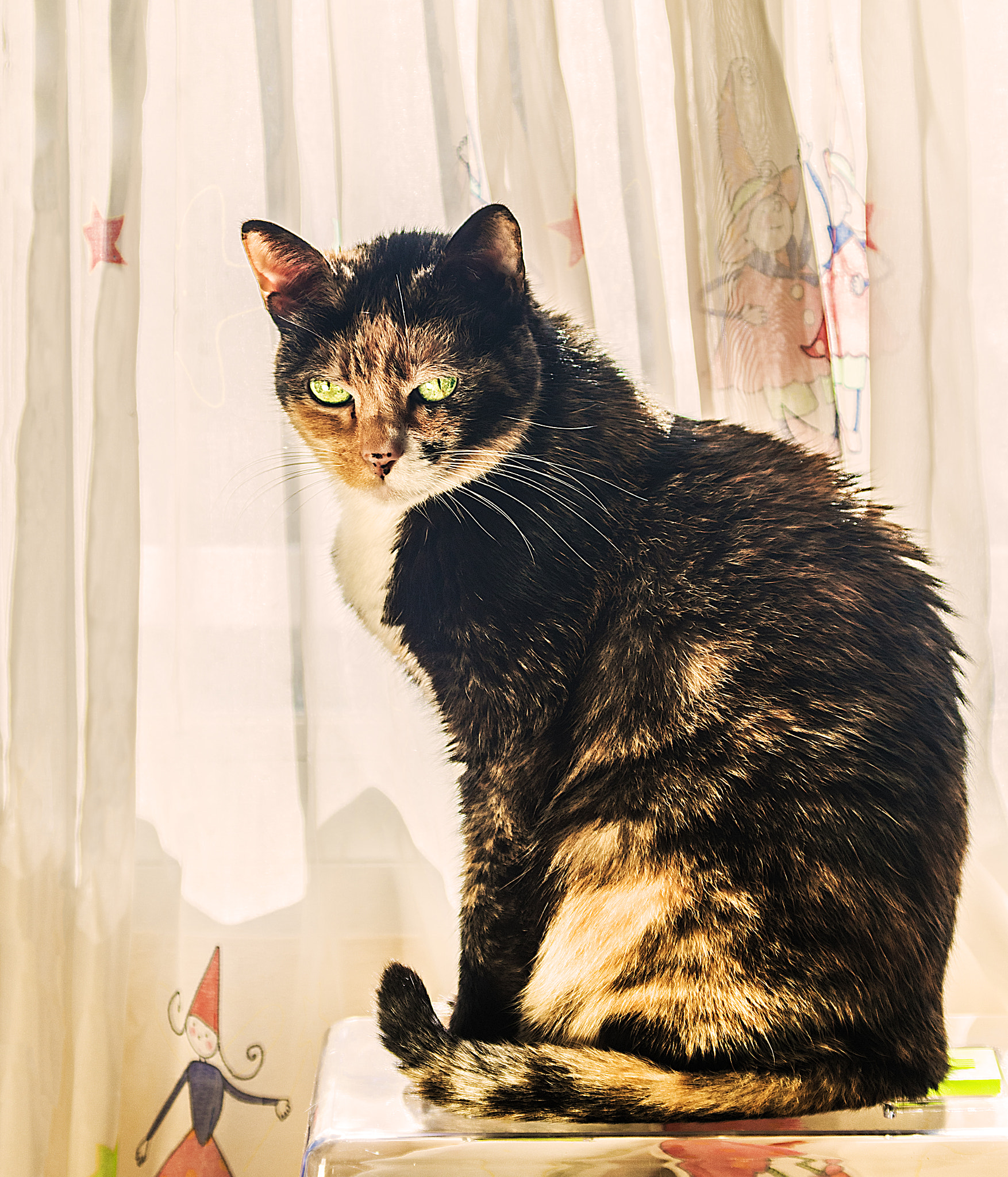 Pentax smc DA 50-200mm F4-5.6 ED sample photo. Nefer photography