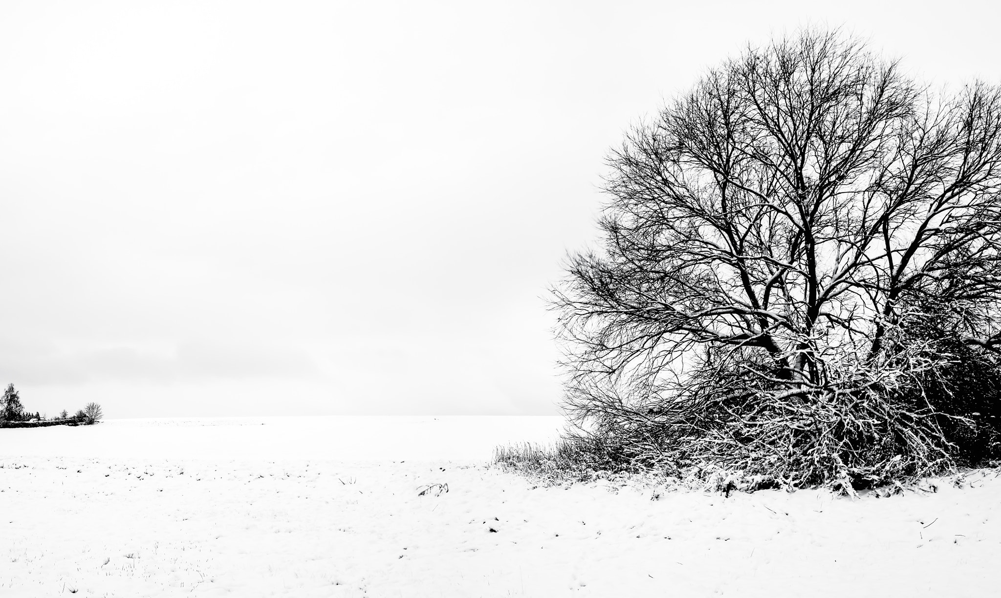 Sony SLT-A58 + Minolta AF 28-80mm F3.5-5.6 II sample photo. Winter2016 photography