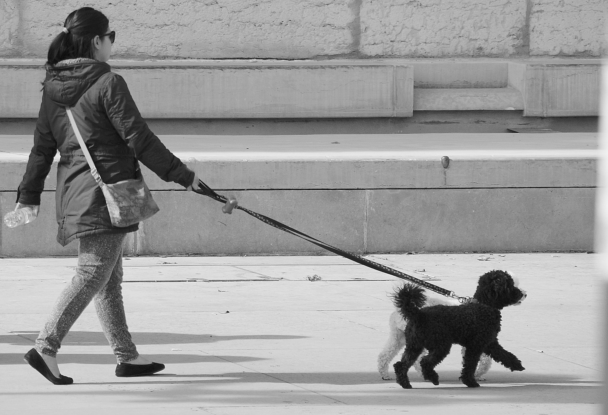 Sony Alpha DSLR-A380 + Sigma 18-200mm F3.5-6.3 DC sample photo. Double puddle dog photography