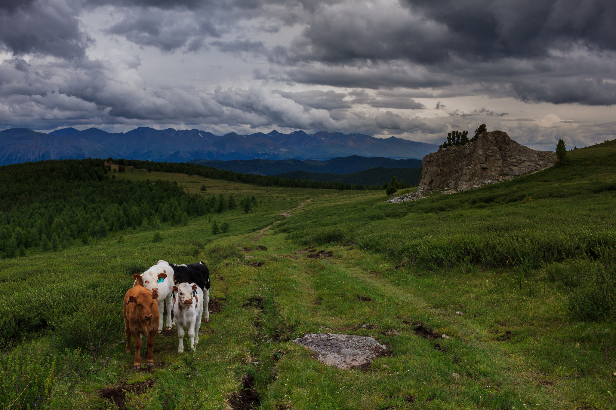 Canon EF-S 24mm F2.8 STM sample photo. After the rain photography