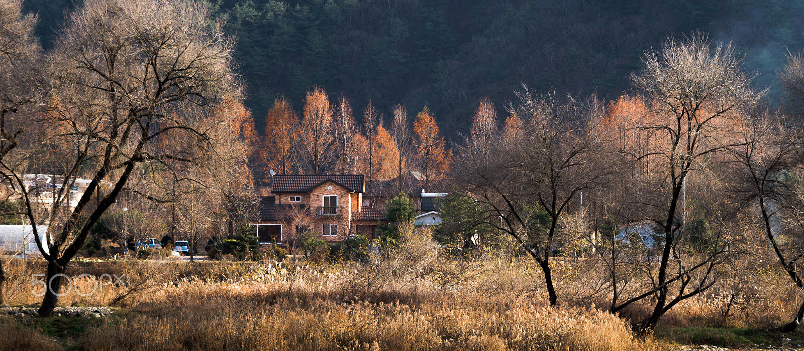 smc PENTAX-DA L 55-300mm F4-5.8 ED sample photo. Light of fall - 1 photography
