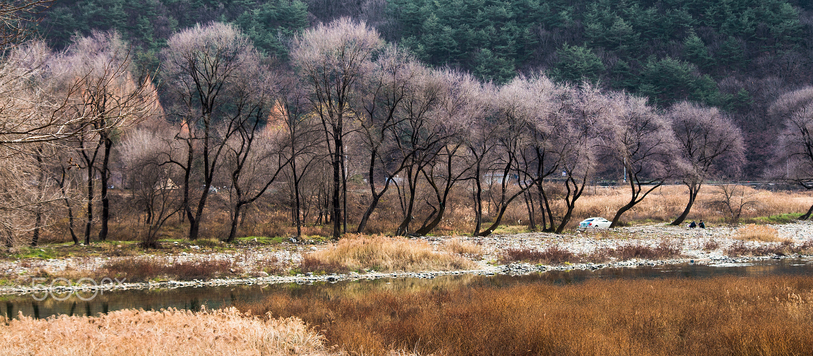 smc PENTAX-DA L 55-300mm F4-5.8 ED sample photo. Light of fall - 3 photography
