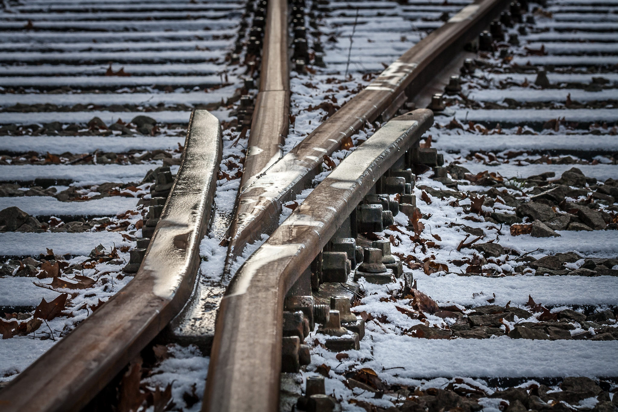 Canon EOS 1000D (EOS Digital Rebel XS / EOS Kiss F) sample photo. "snow on the track" photography