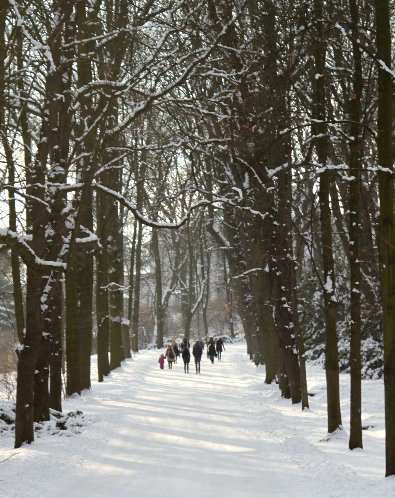 Canon EF 28-90mm f/4-5.6 sample photo. Winter walk photography