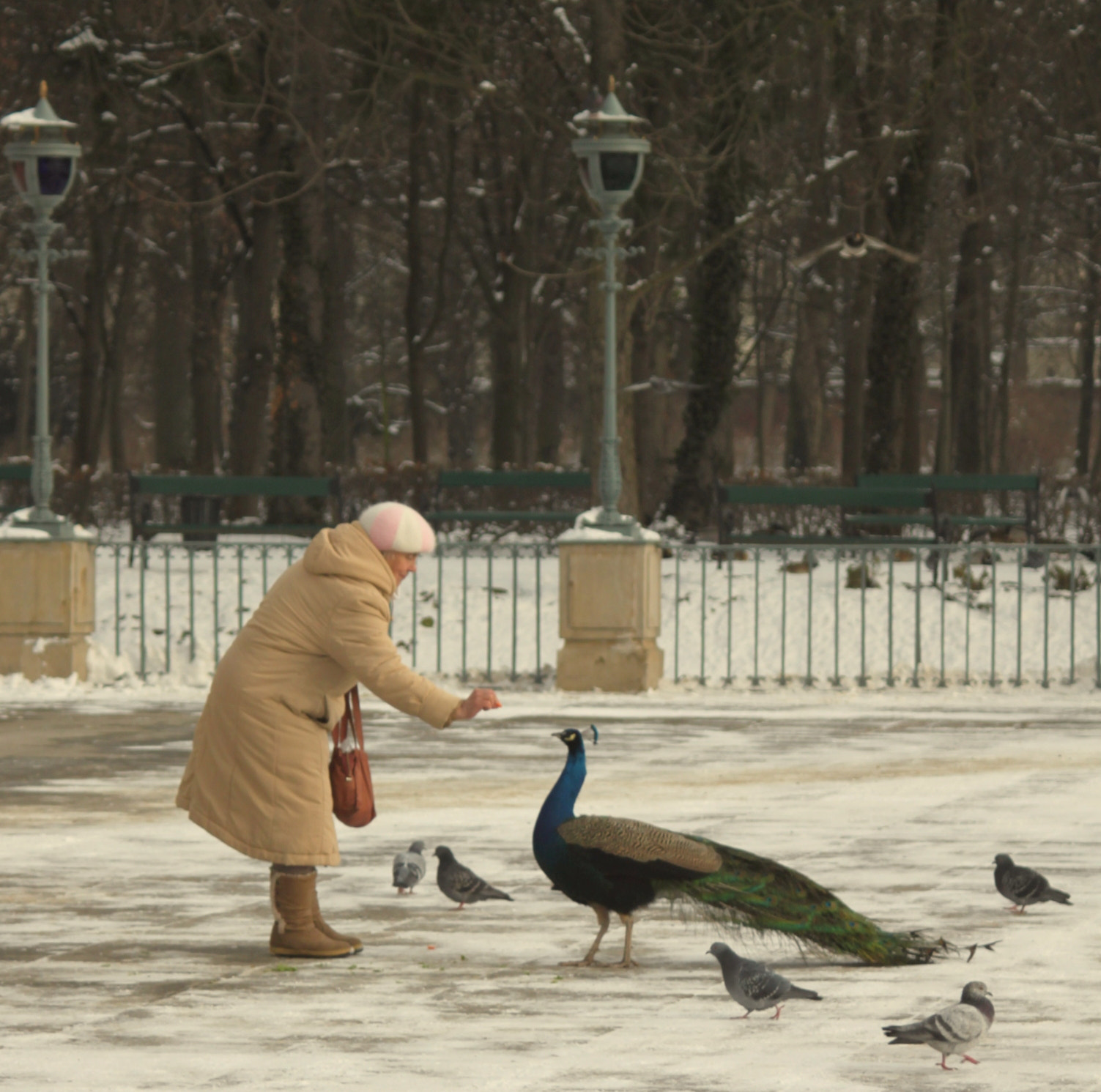 Canon EF 28-90mm f/4-5.6 sample photo. Women&birds photography