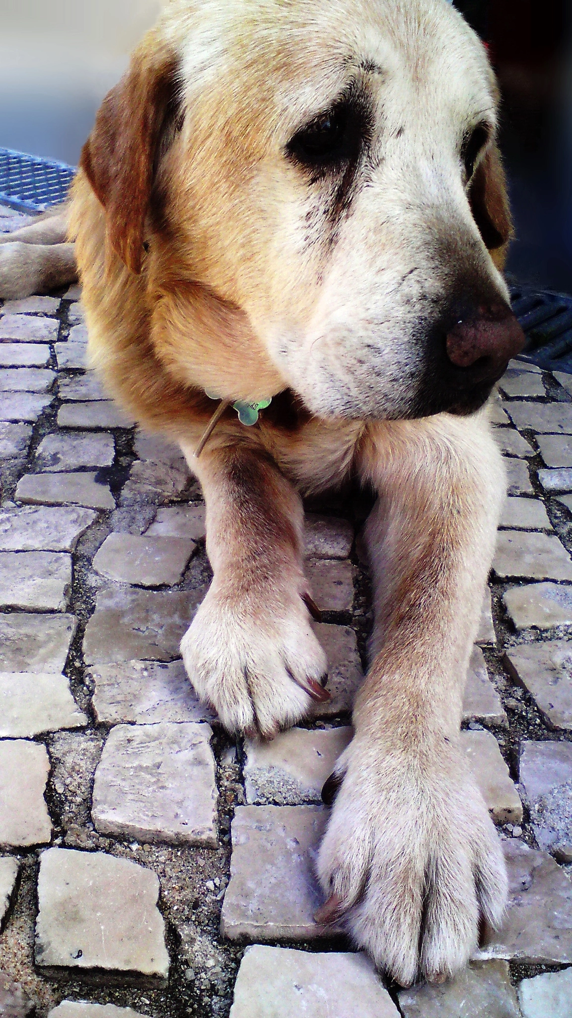 Sony Ericsson C902 sample photo. In tears photography