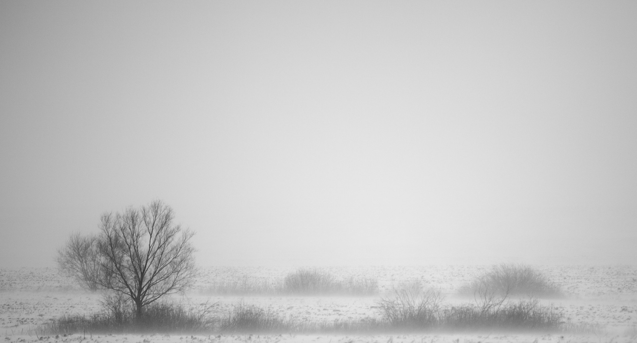 Canon EF 180mm F3.5L Macro USM sample photo. Russian winter, photography