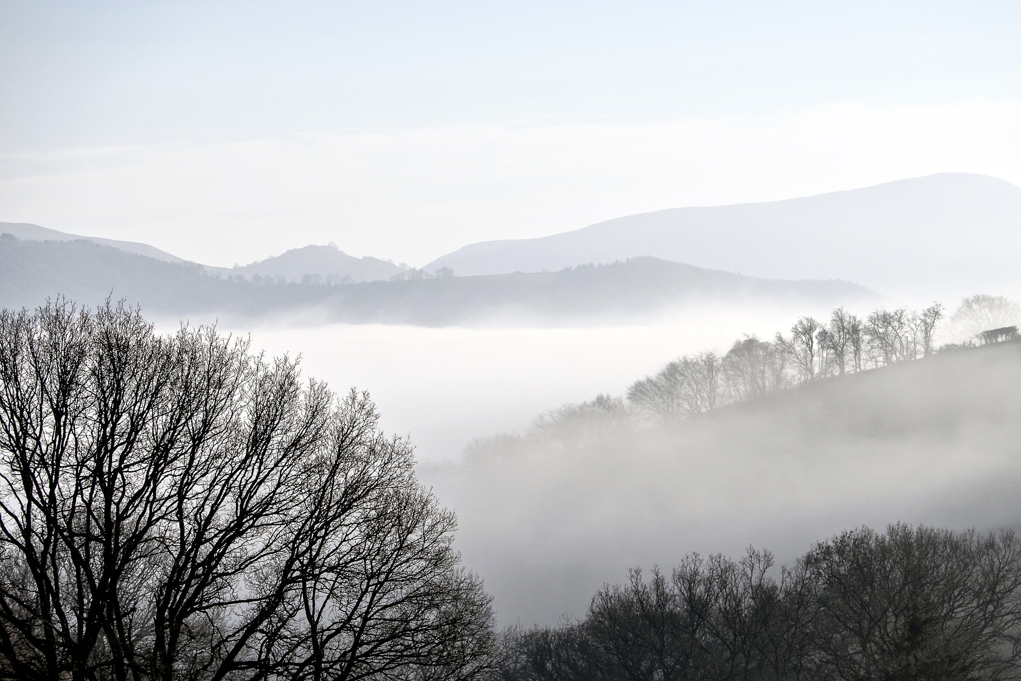 Fujifilm X-E2 + Fujifilm XF 18-135mm F3.5-5.6 R LM OIS WR sample photo. The fog photography