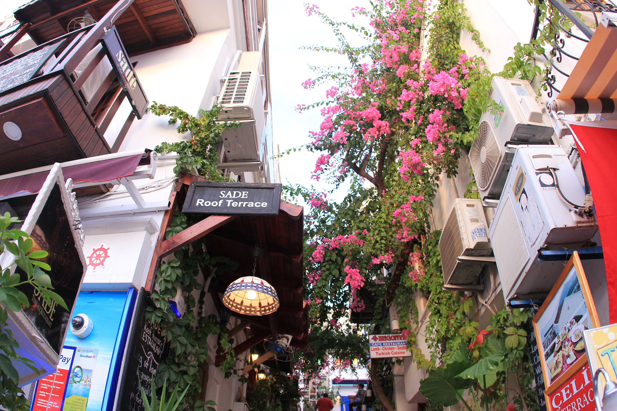 Canon EOS 550D (EOS Rebel T2i / EOS Kiss X4) + Canon EF 15mm F2.8 Fisheye sample photo. Travel photography
