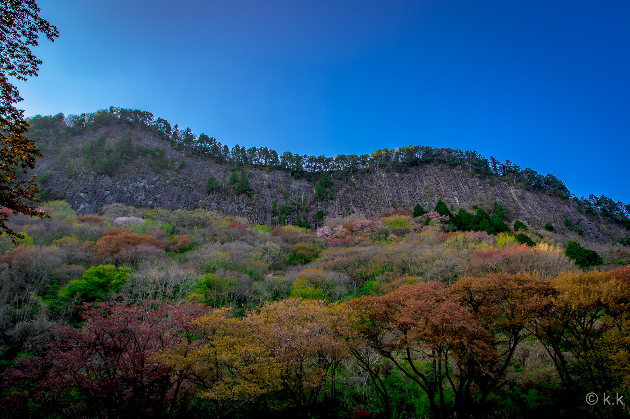 HD Pentax DA 15mm F4 ED AL Limited sample photo. Byoubuiwa in nara photography