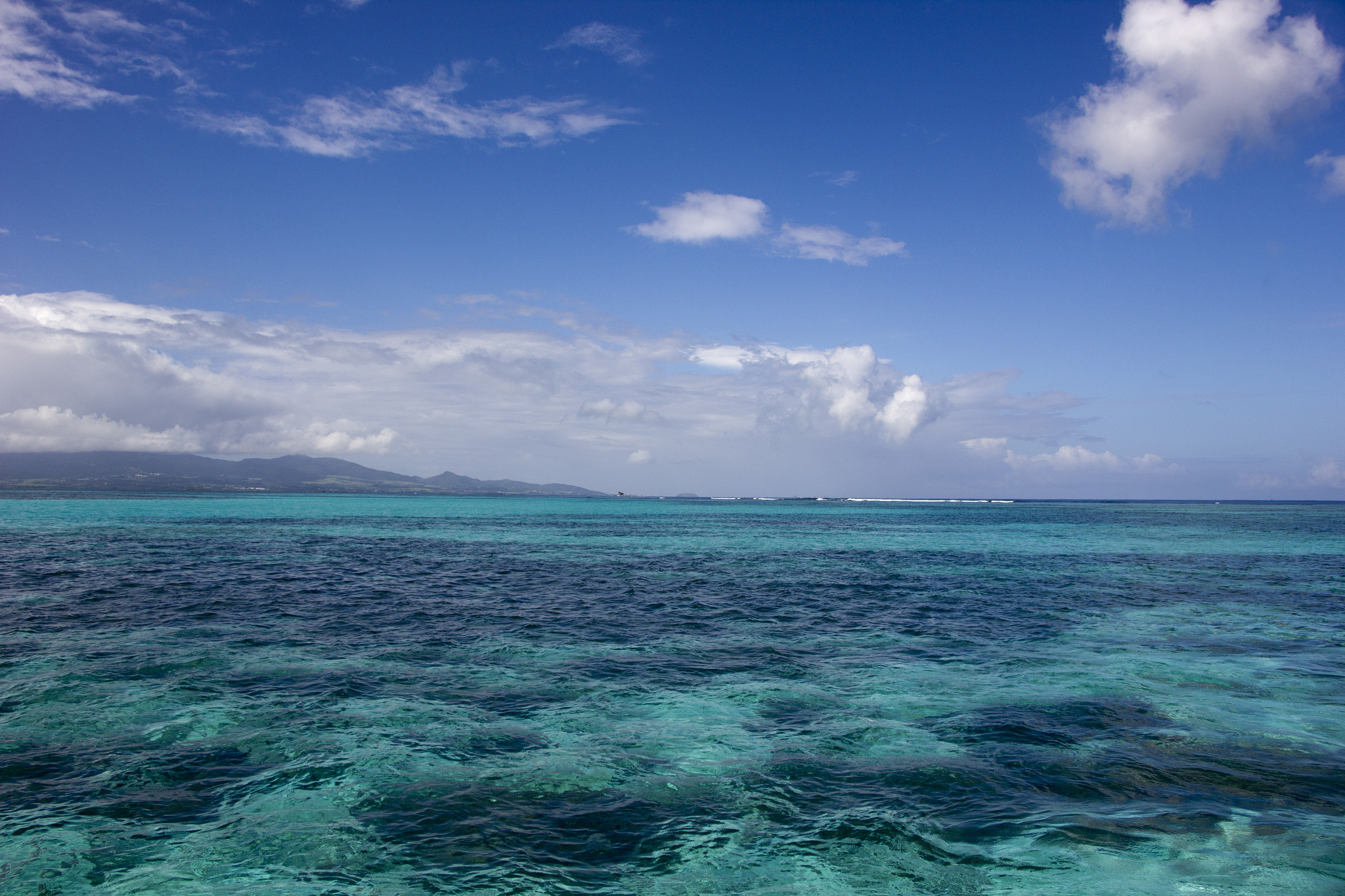 Canon EF-S 18-135mm F3.5-5.6 IS STM sample photo. Coral reef photography