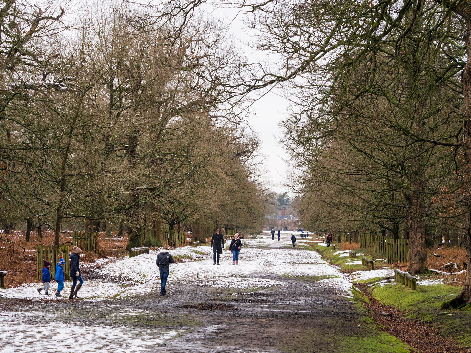 Olympus OM-D E-M5 + Olympus M.Zuiko Digital ED 40-150mm F2.8 Pro sample photo. Visitors enjoying yesterdays first snows of the winter at dunham massey, cheshire, uk photography