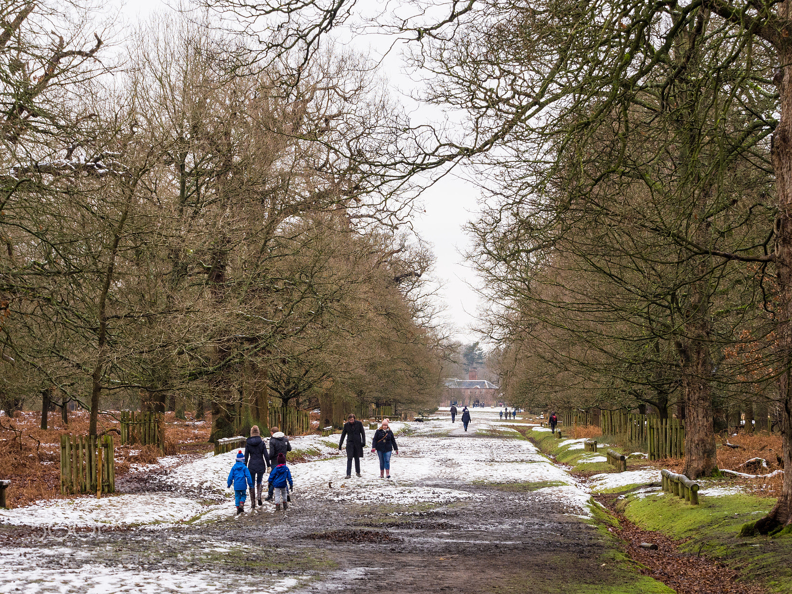 Olympus OM-D E-M5 + Olympus M.Zuiko Digital ED 40-150mm F2.8 Pro sample photo. Visitors enjoying yesterdays first snows of the winter at dunham massey, cheshire, uk photography