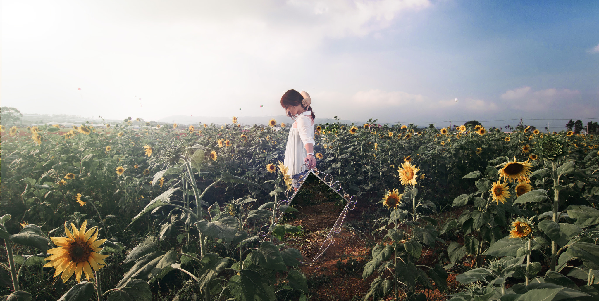 Tokina AT-X Pro 12-24mm F4 (IF) DX sample photo. 花海.jpg photography