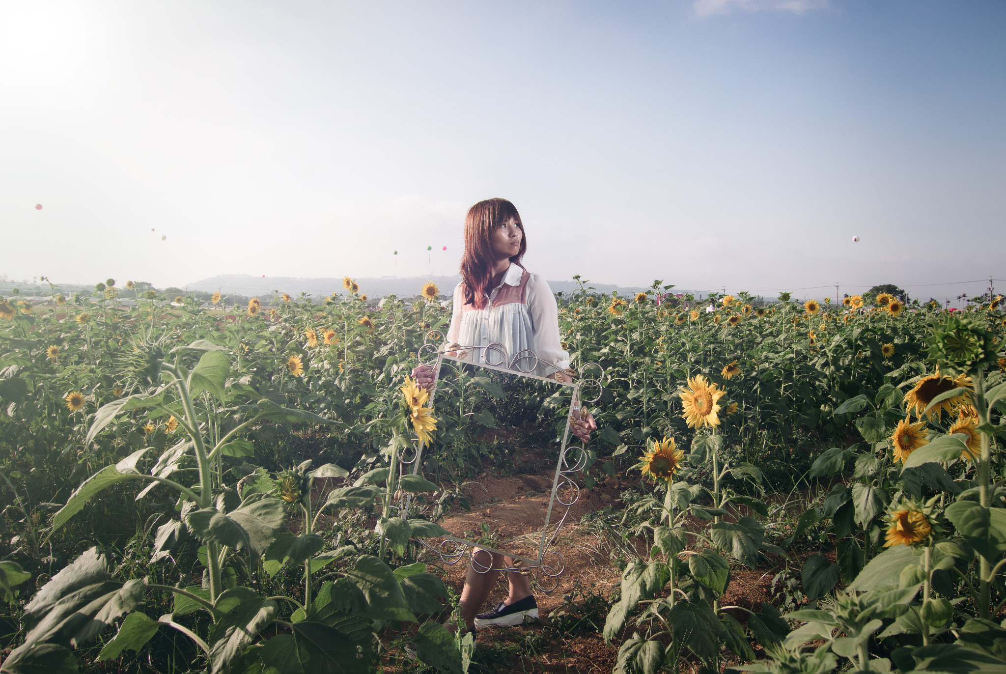 Tokina AT-X Pro 12-24mm F4 (IF) DX sample photo. 花海.jpg photography