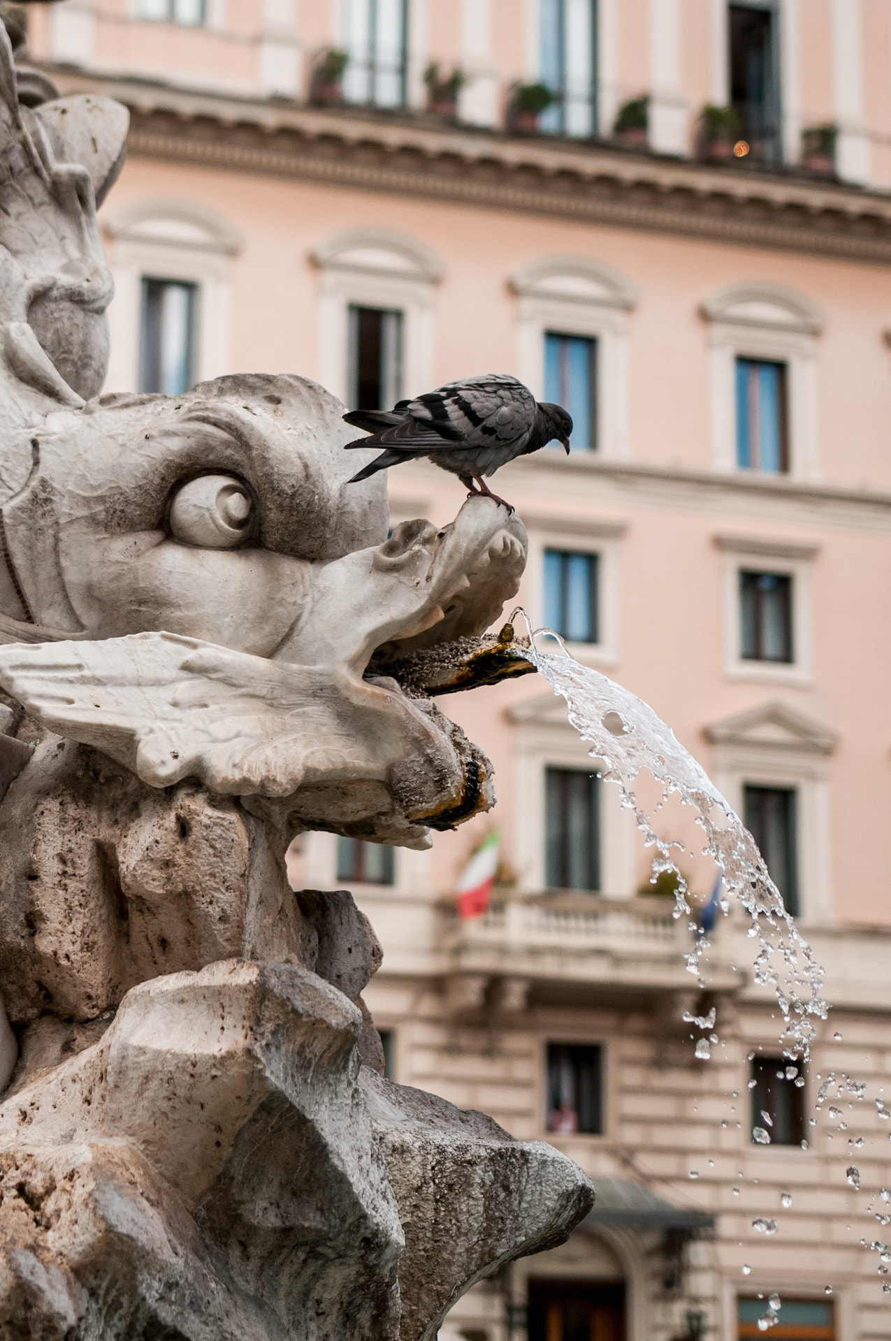 Nikon D300 + Sigma 18-35mm F1.8 DC HSM Art sample photo. Piazza dela rotonda, rome, italy photography