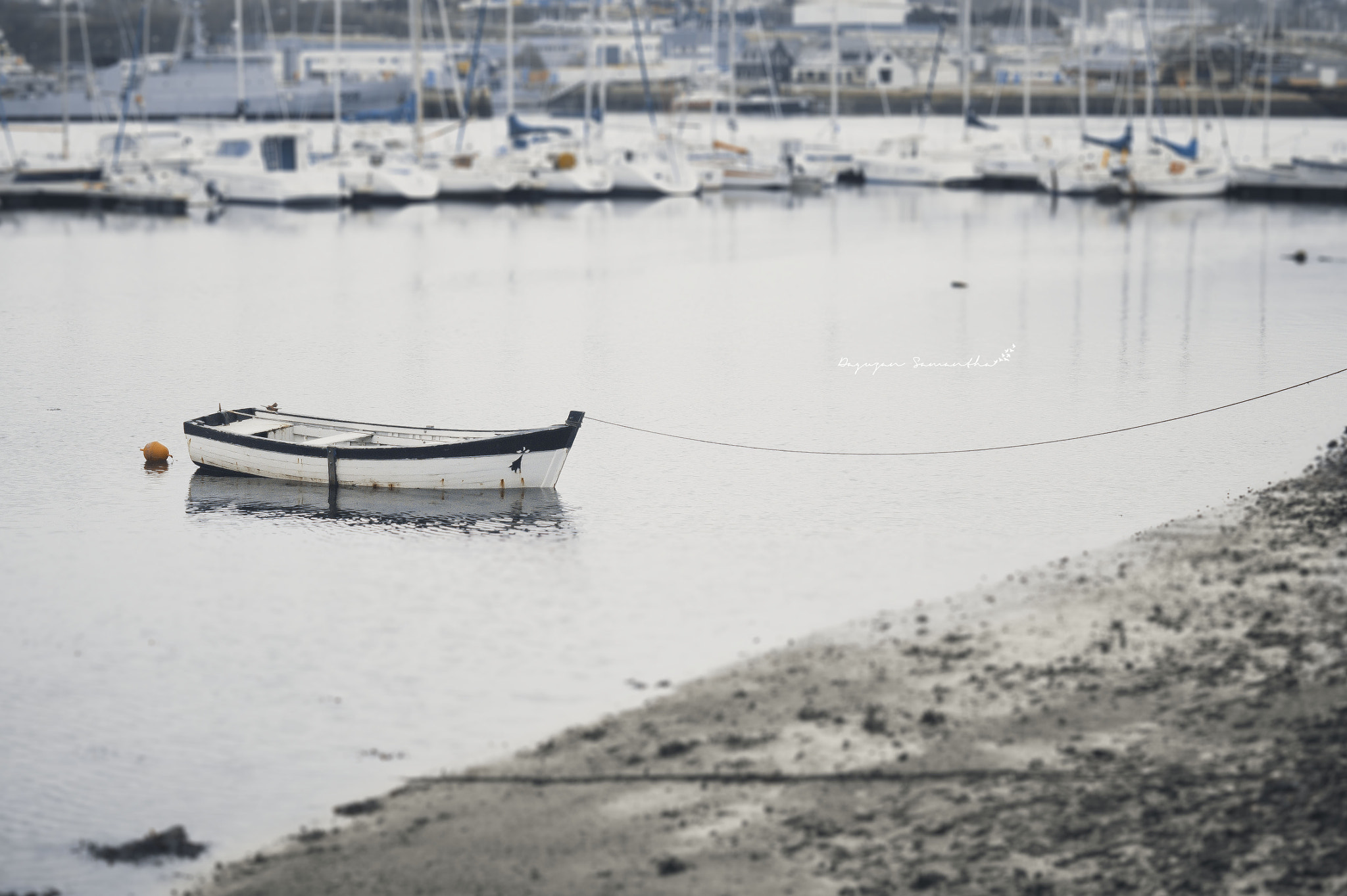 Sony SLT-A33 + Sony DT 50mm F1.8 SAM sample photo. Concarneau photography