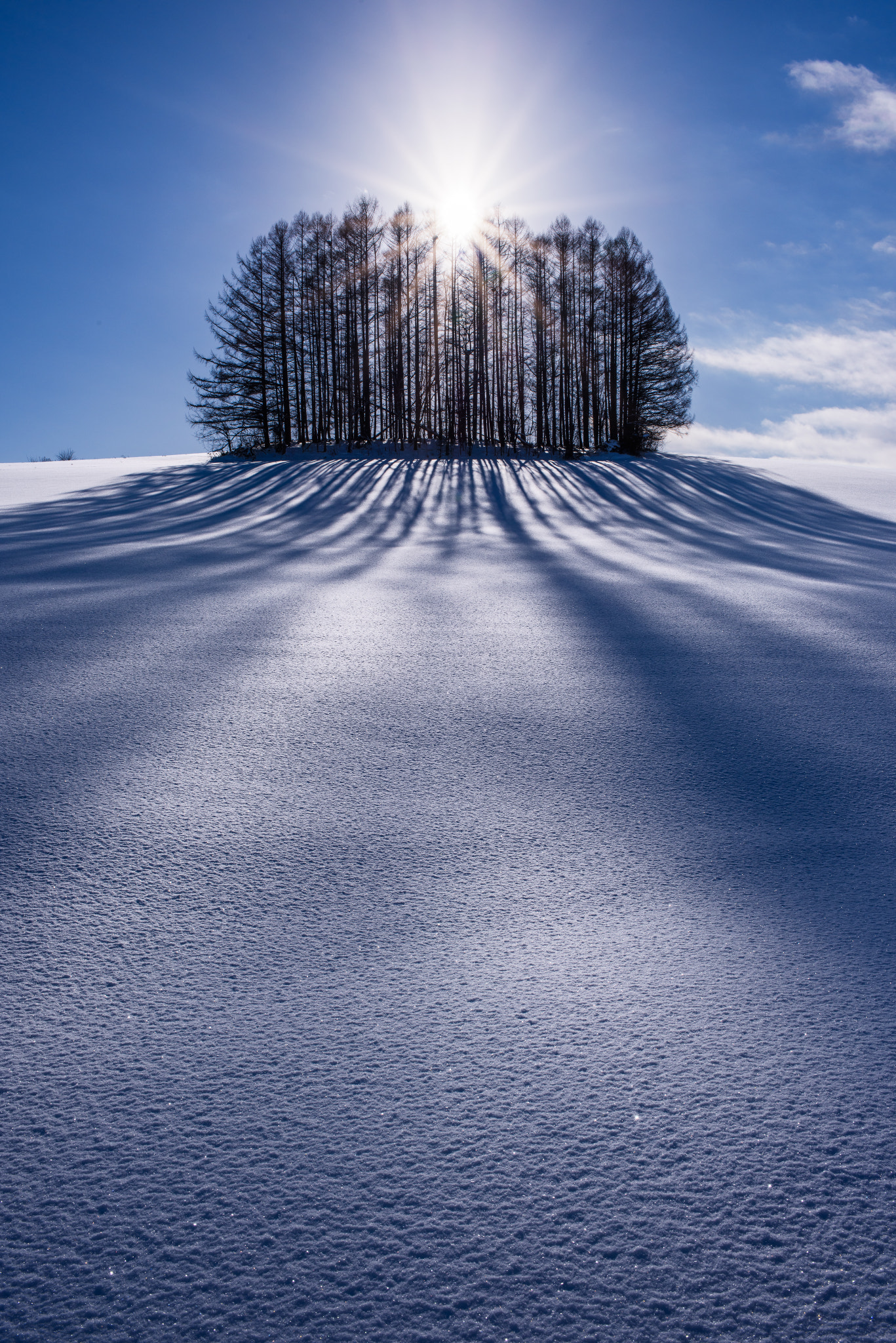 AF-S Nikkor 35mm f/1.8G sample photo. Blue shadows photography