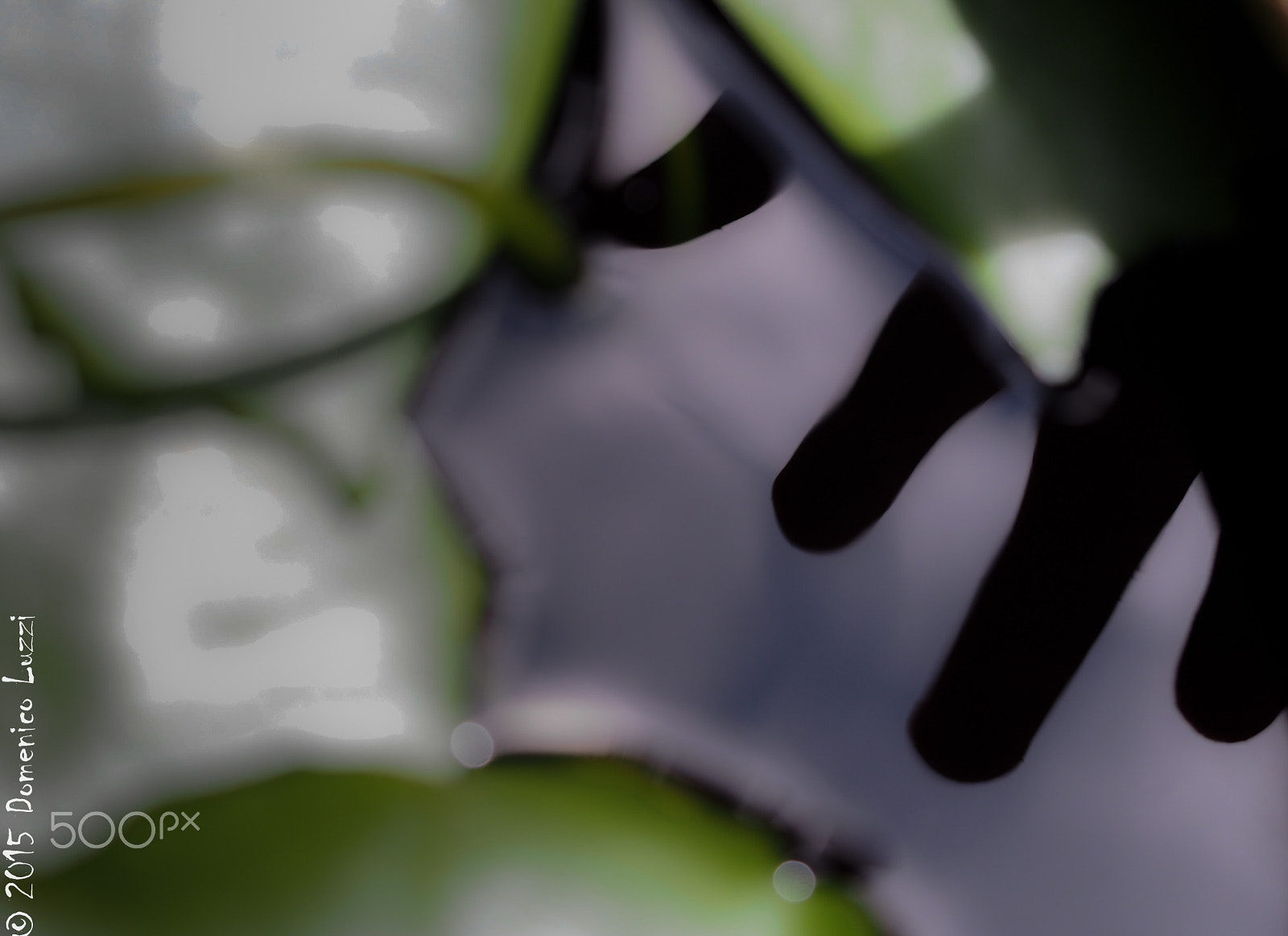 Olympus PEN E-PL5 sample photo. Baby hand photography