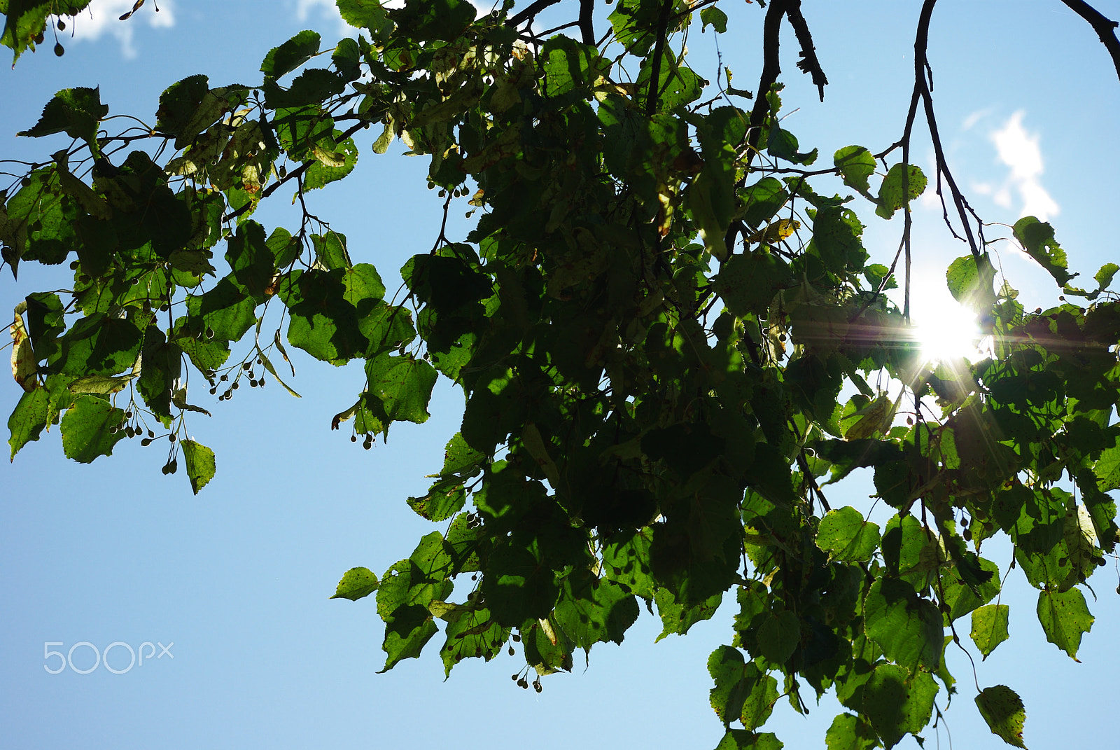 Pentax K200D sample photo. Sun photography