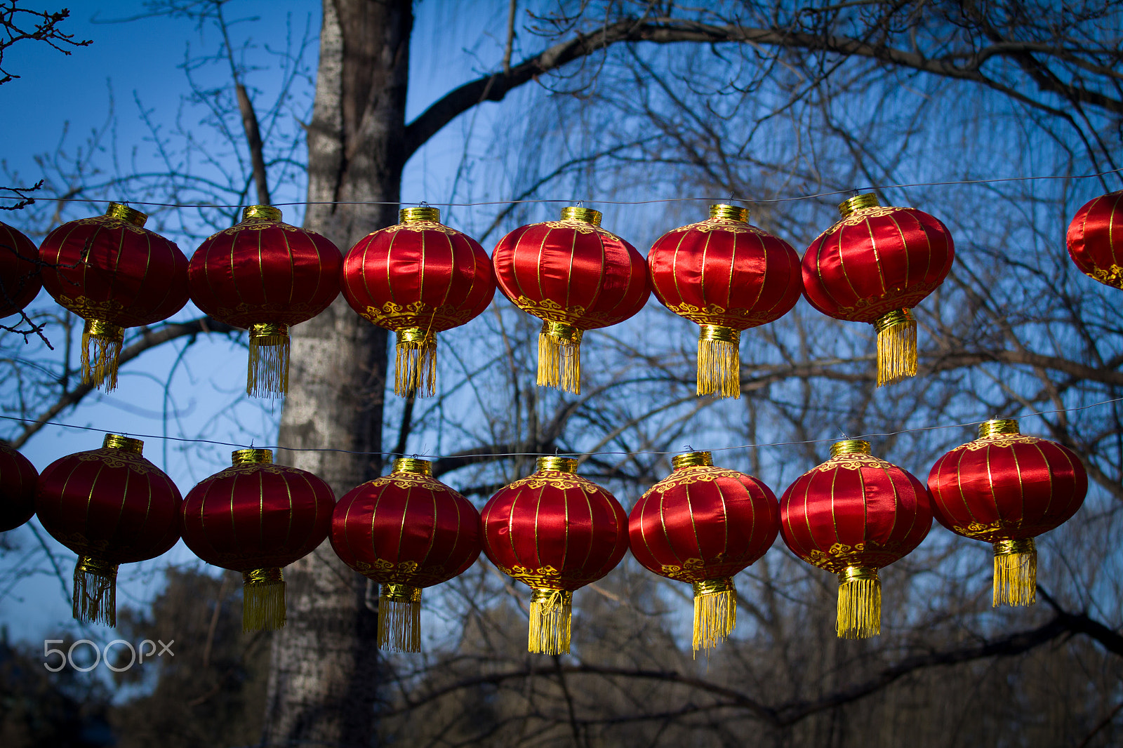 Canon EOS 60D + Canon EF 80-200mm f/2.8L sample photo. Chinese lanterns photography
