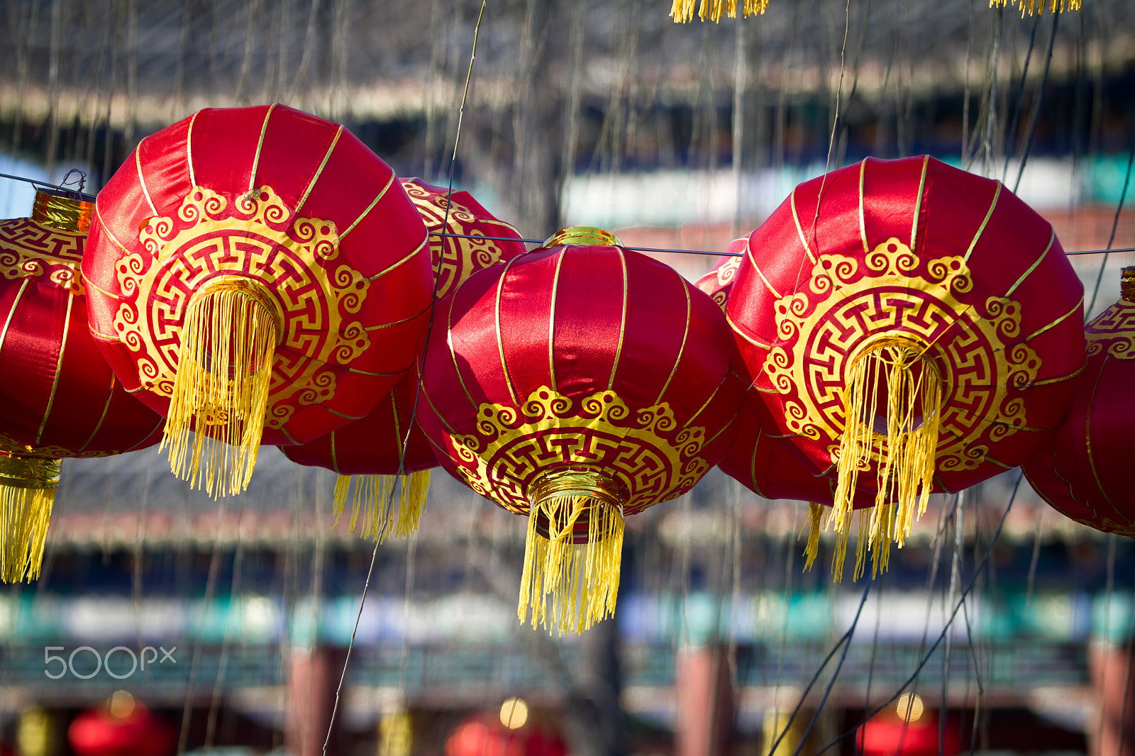 Canon EOS 60D + Canon EF 80-200mm f/2.8L sample photo. Chinese lanterns photography