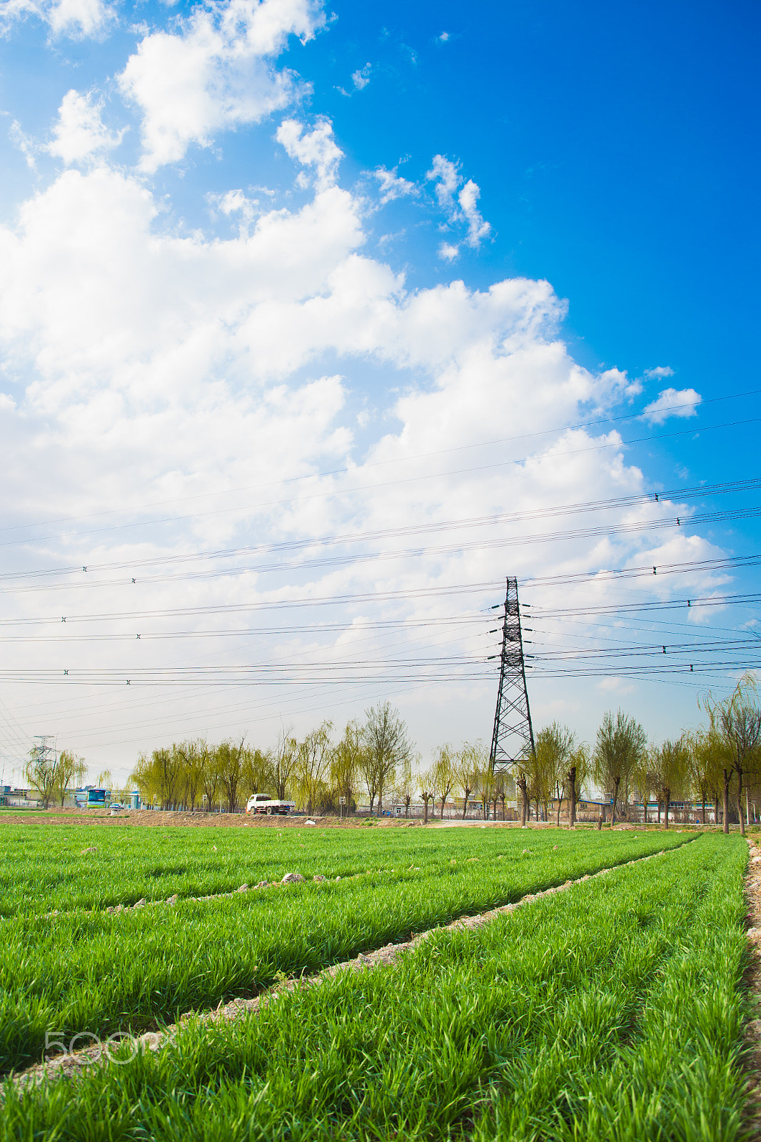 Canon EF 28-80mm f/2.8-4L sample photo. Electricity pylons photography