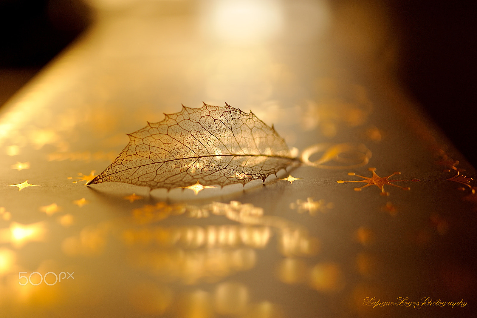 Nikon D700 + Sigma 50mm F2.8 EX DG Macro sample photo. Lonesome road photography