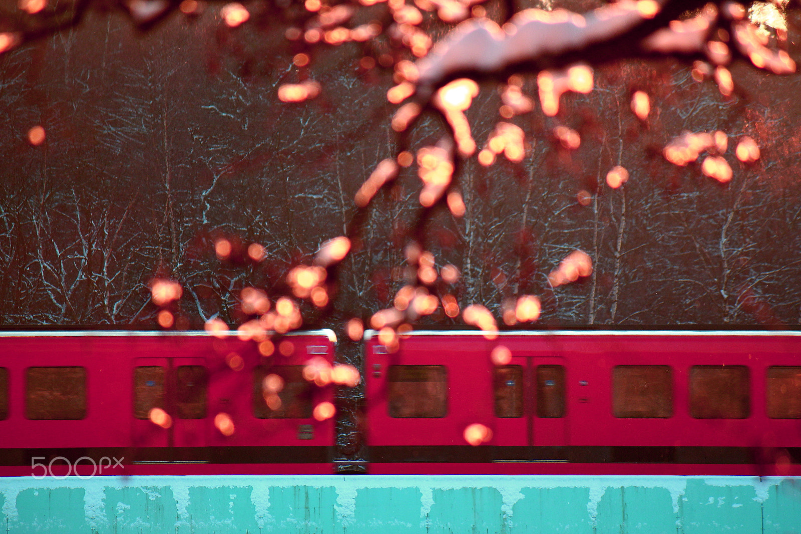 Canon EF-S 55-250mm F4-5.6 IS sample photo. Cherry metro photography
