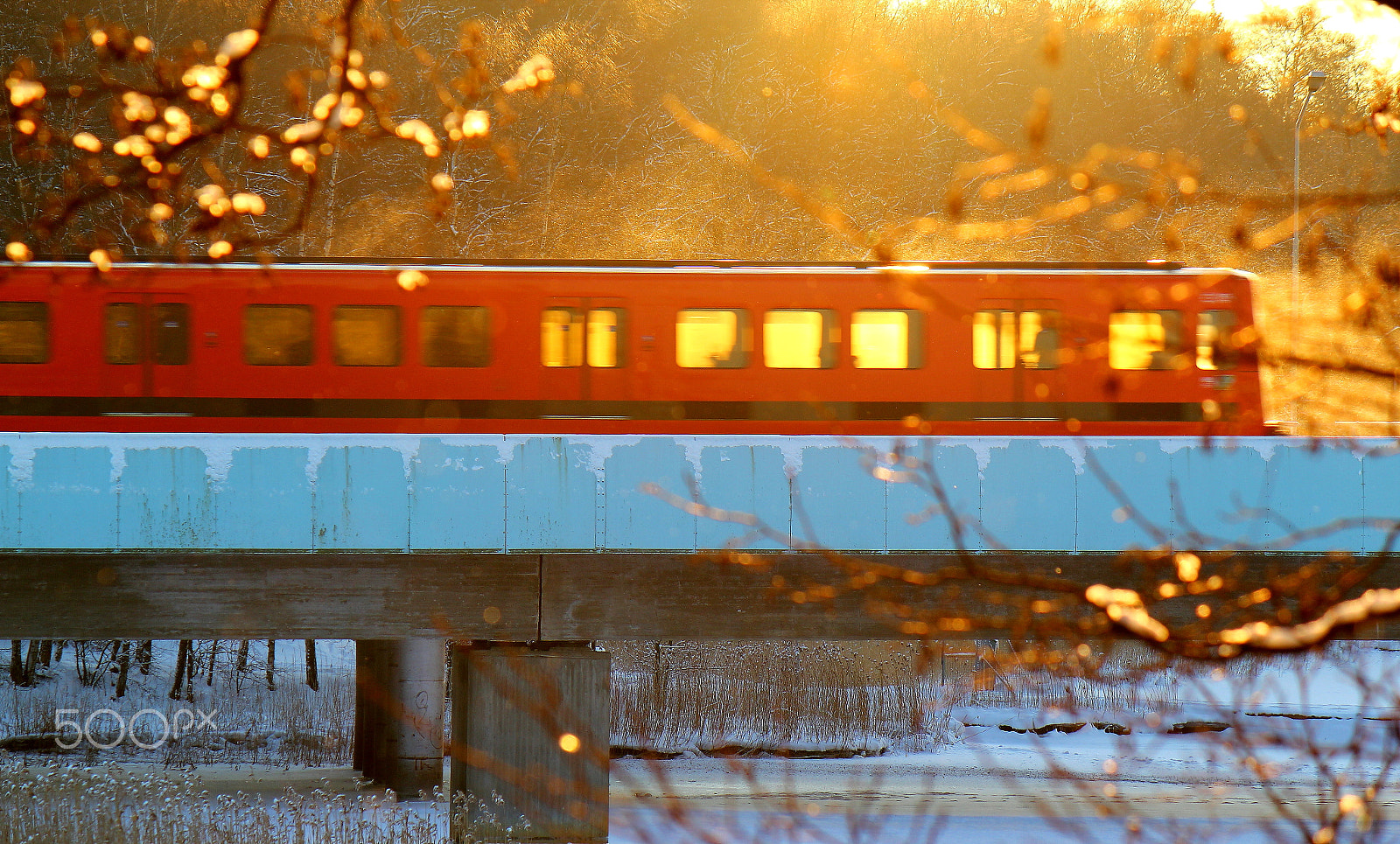 Canon EF-S 55-250mm F4-5.6 IS sample photo. Taste the orange photography