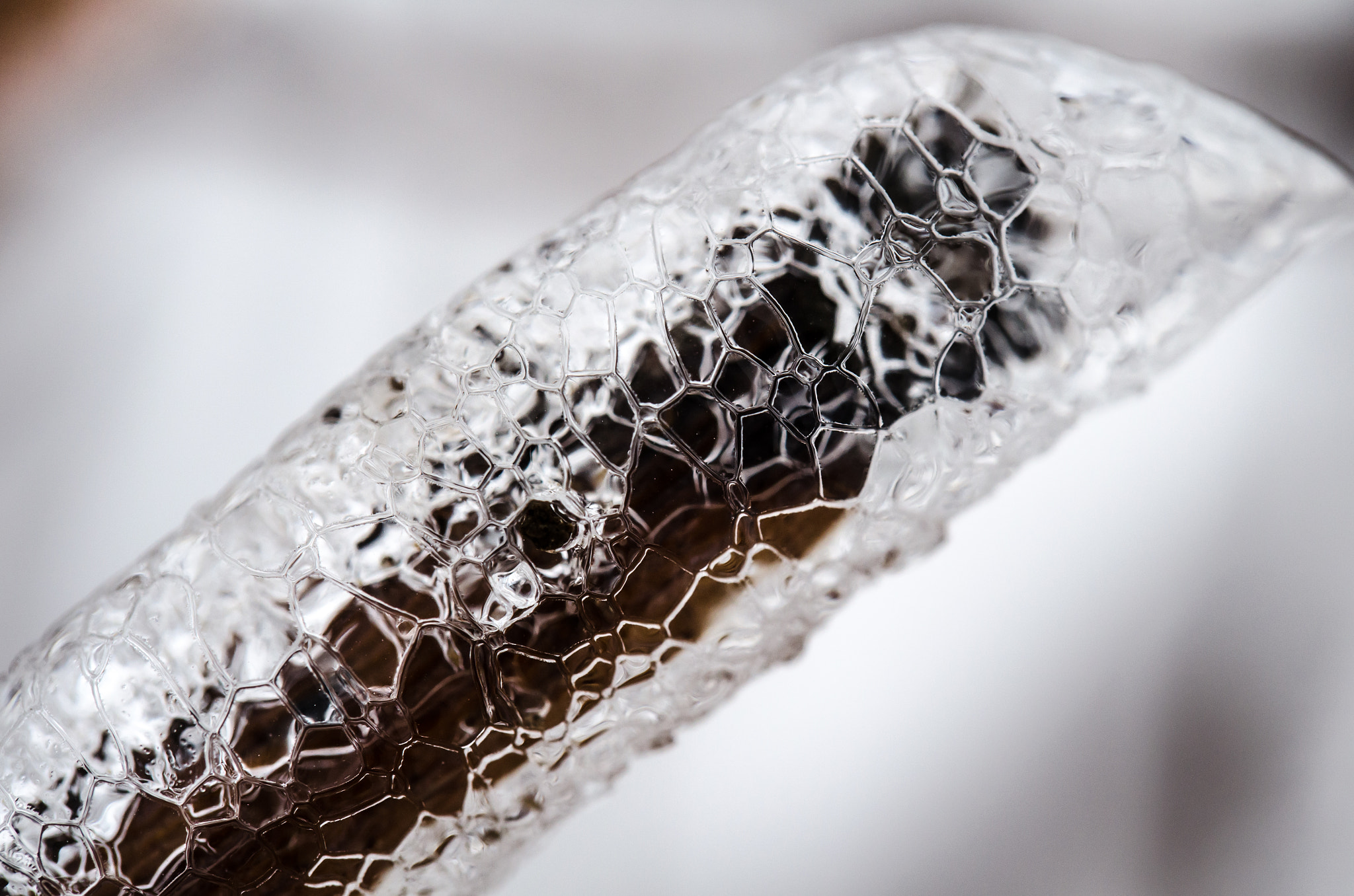 frozen vine