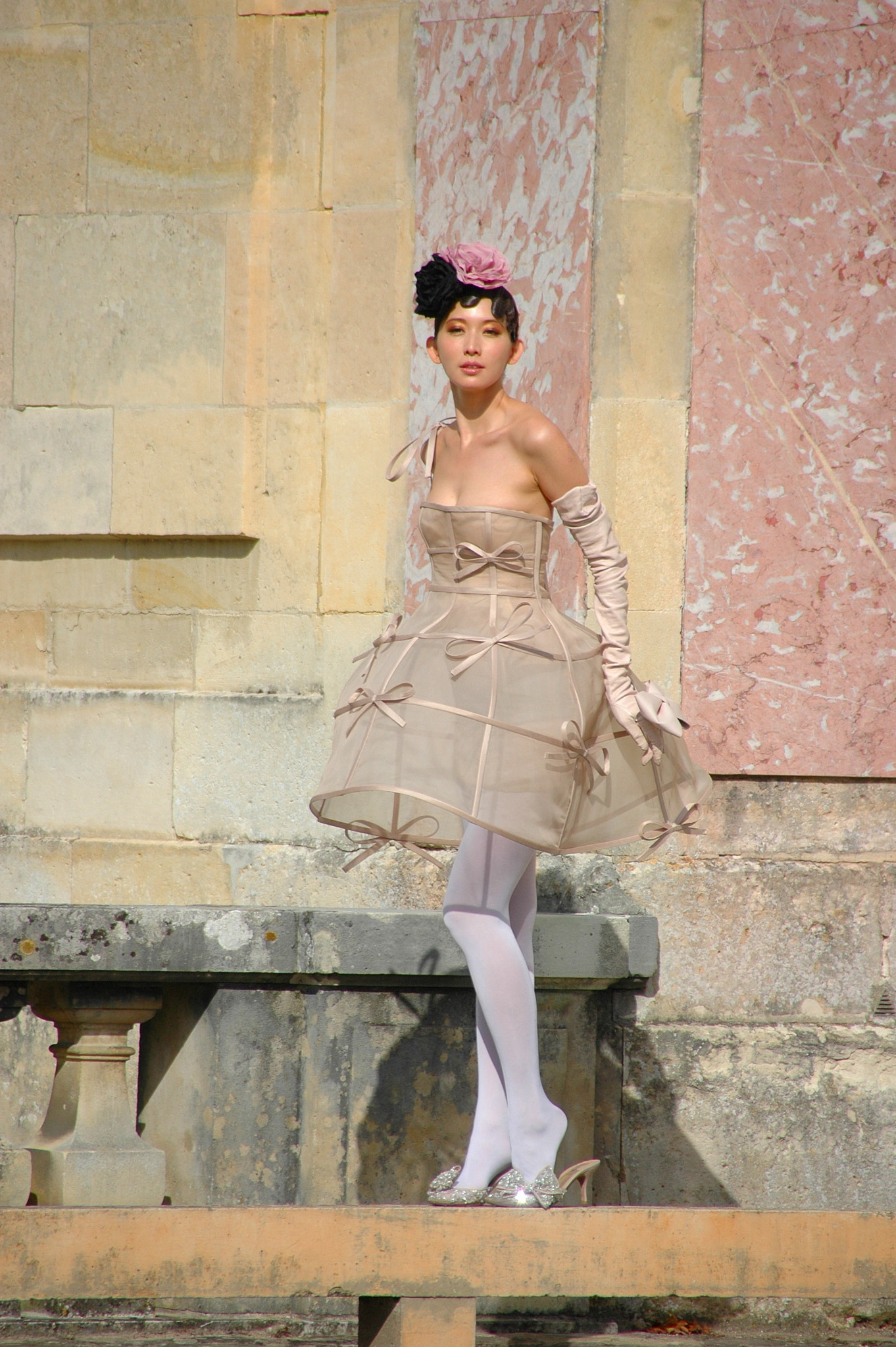 Nikon D70s sample photo. Rose trianon photography