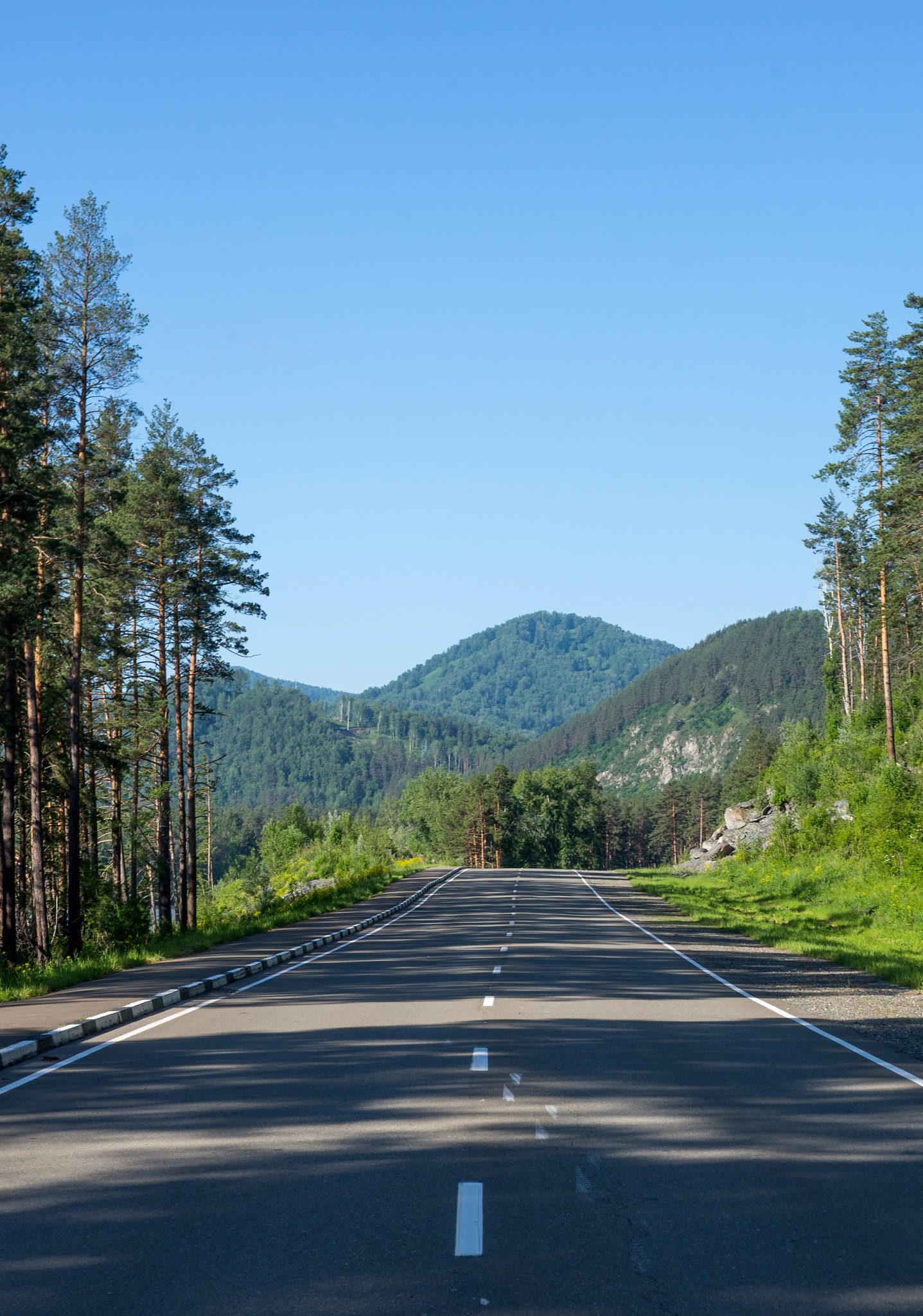 Sony 50mm F1.4 sample photo. New russian made road :) photography