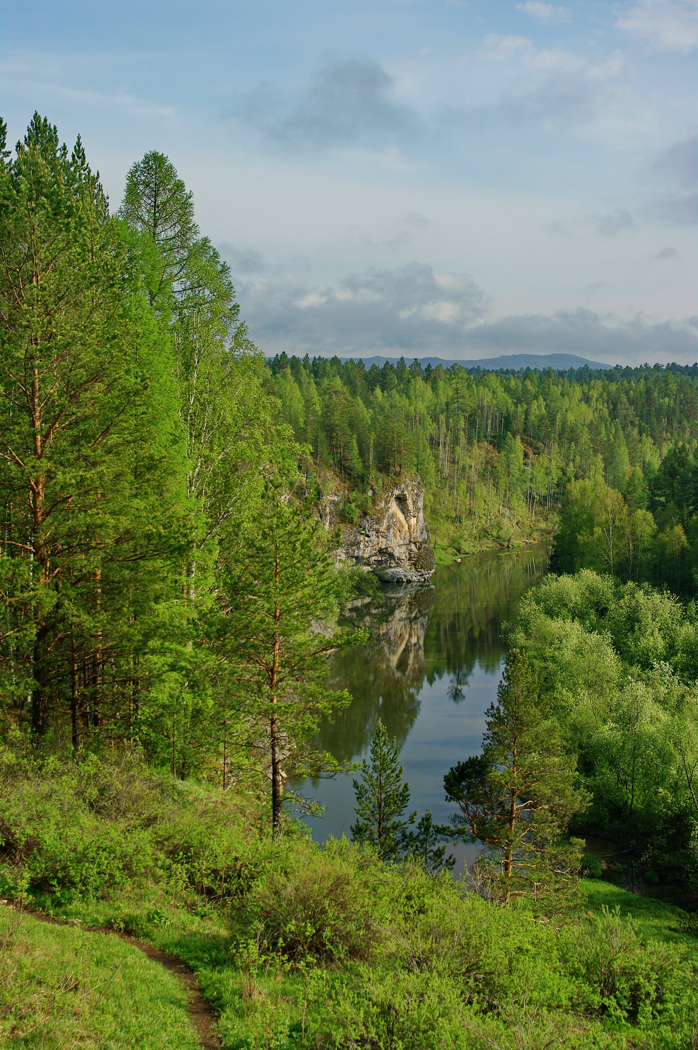 Samsung/Schneider D-XENON 18-55mm F3.5-5.6 II sample photo. National park deer springs photography