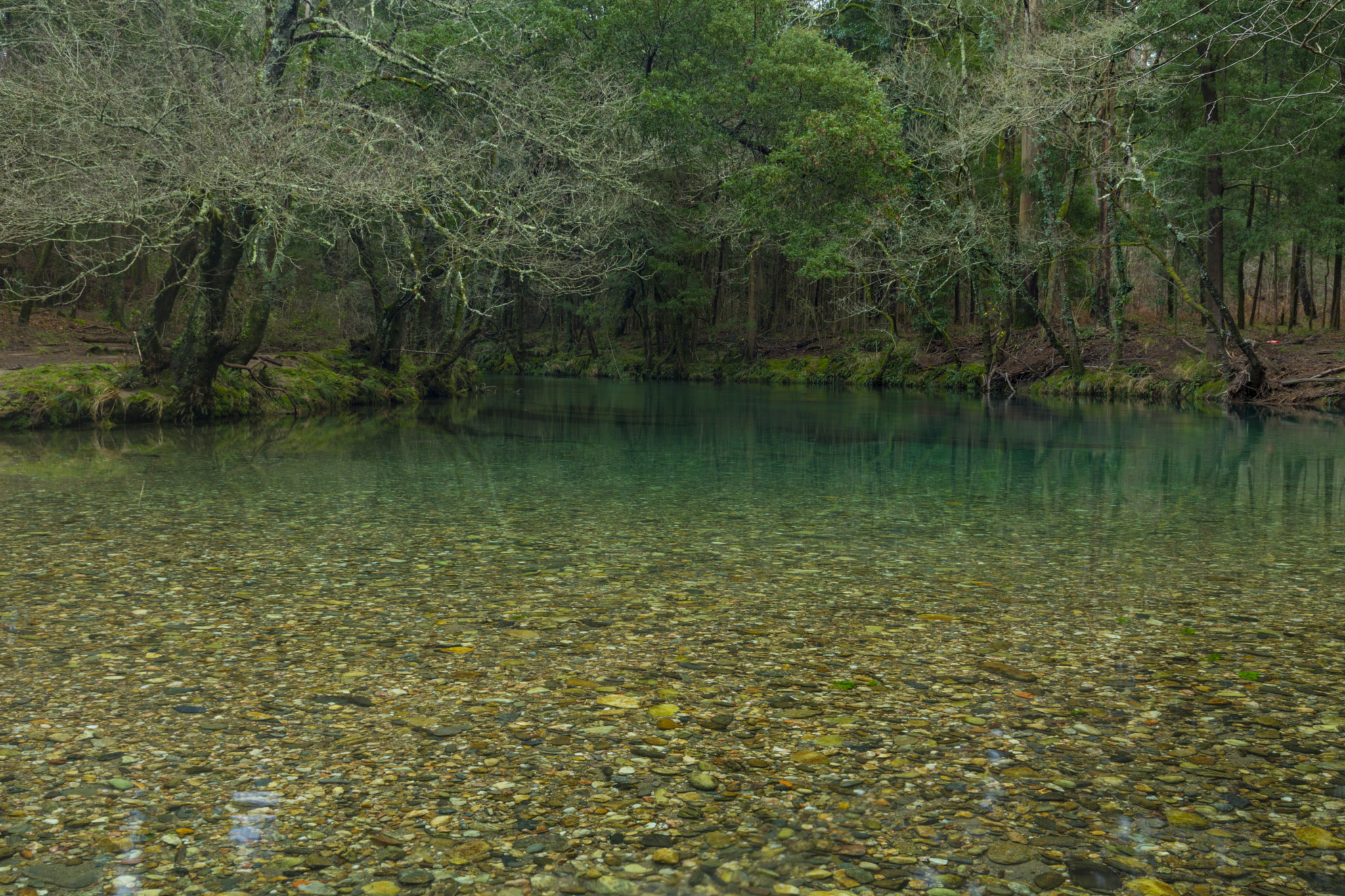 Sigma 17-70mm F2.8-4 DC Macro OS HSM sample photo. River of serenety photography