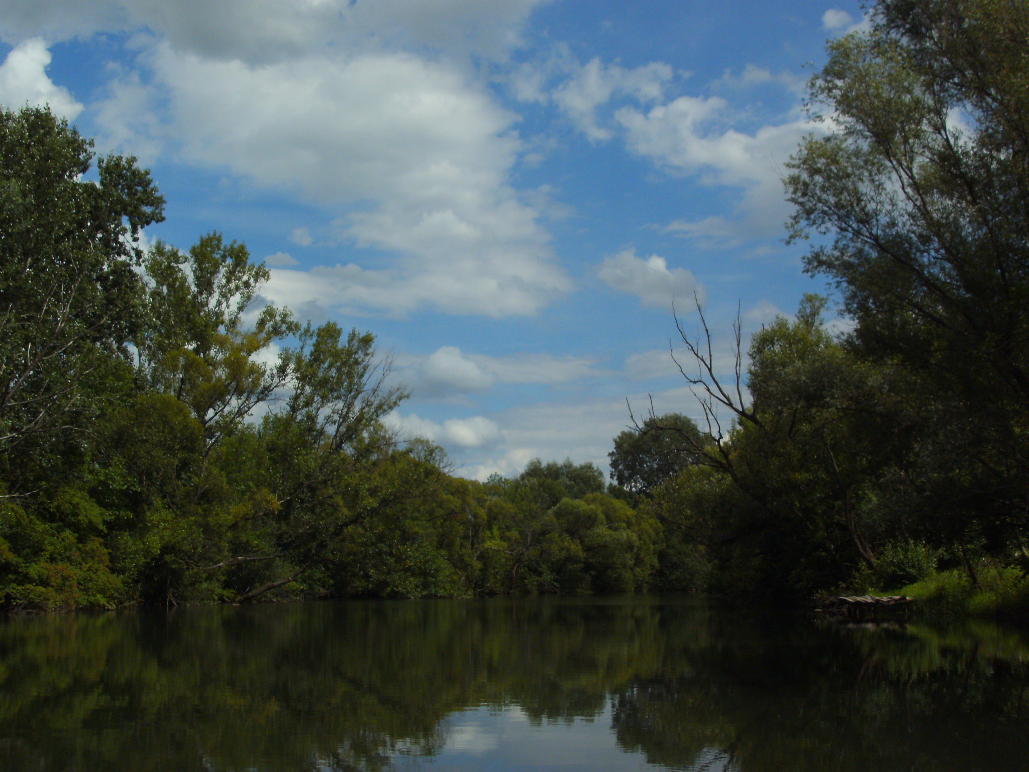 TRAVELER DC 120 sample photo. River photography